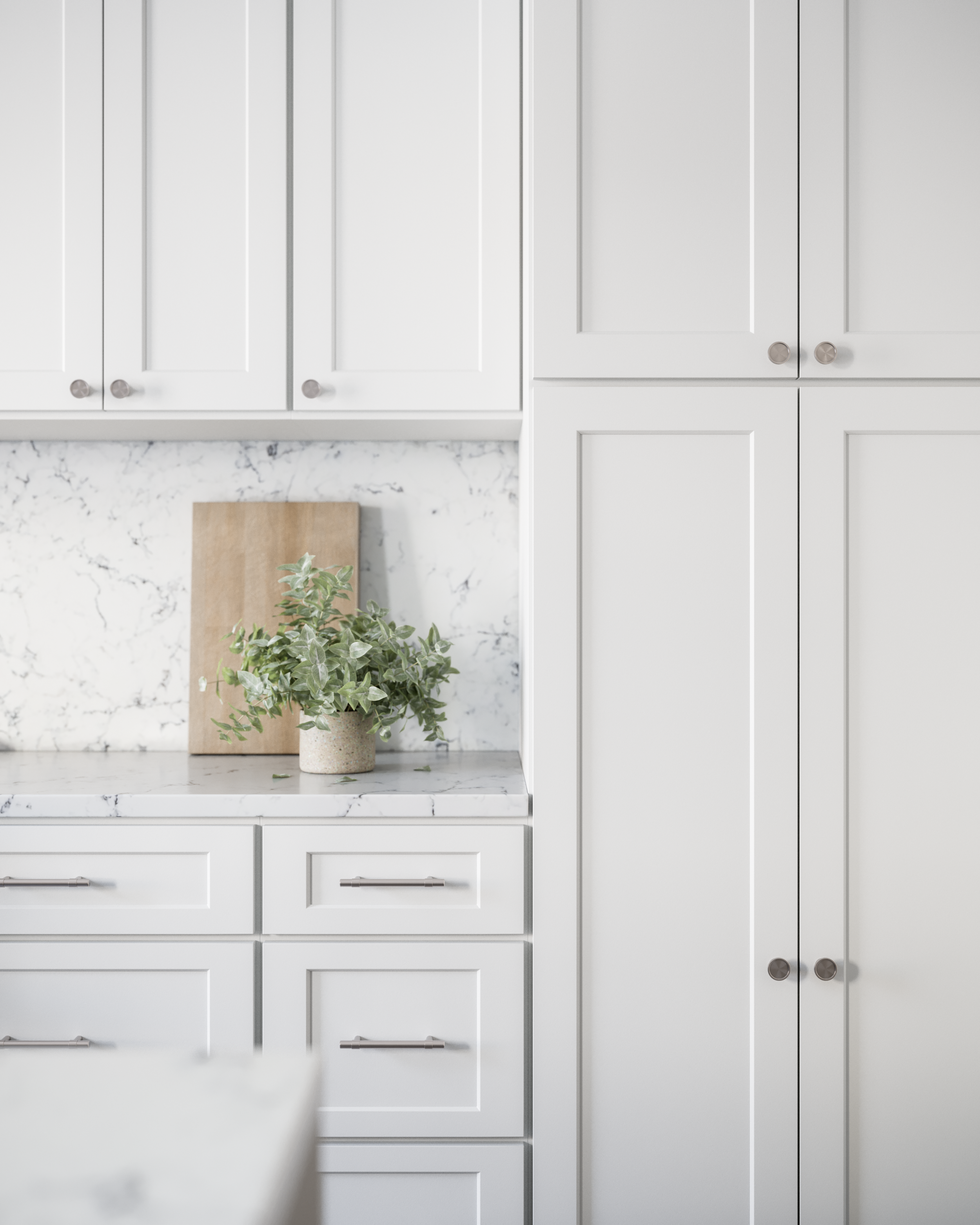 191222_KitchenOlmsted_DoorsB.png