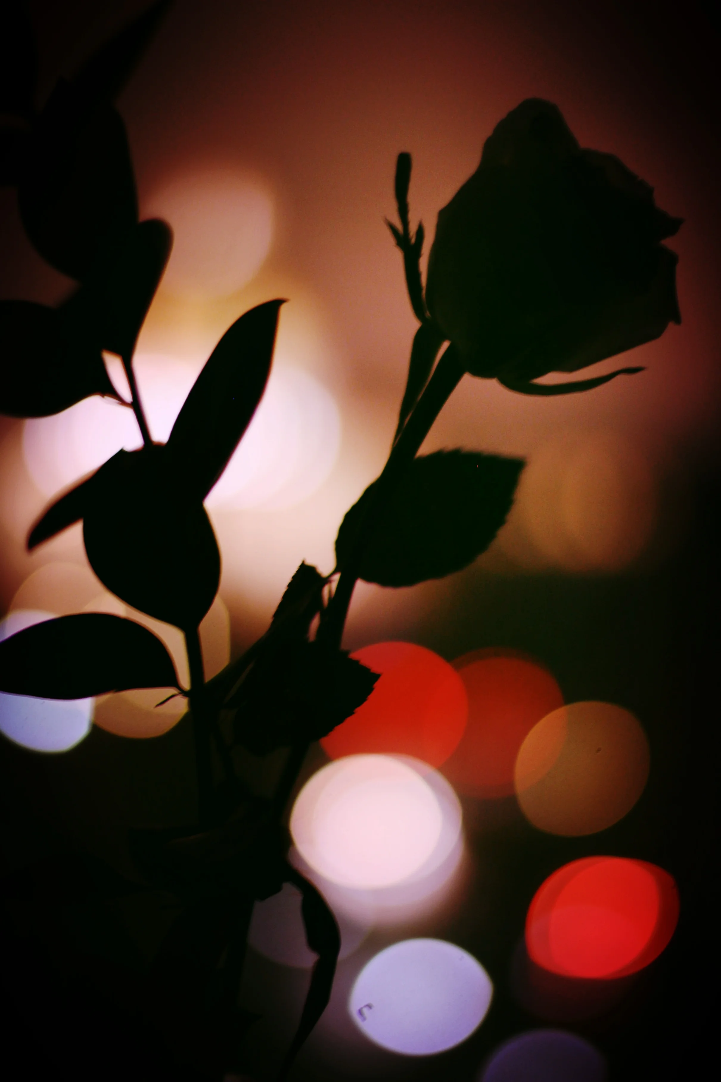 An Ode to Self-Care, Part I: Valentine's Day for Cynics &amp; Romantics Alike