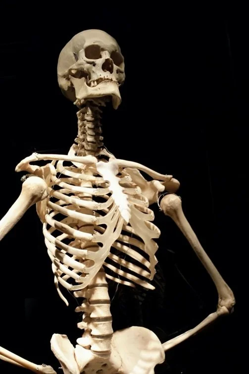 Beyond Talk Therapy: Somatic Safety &amp; Healing