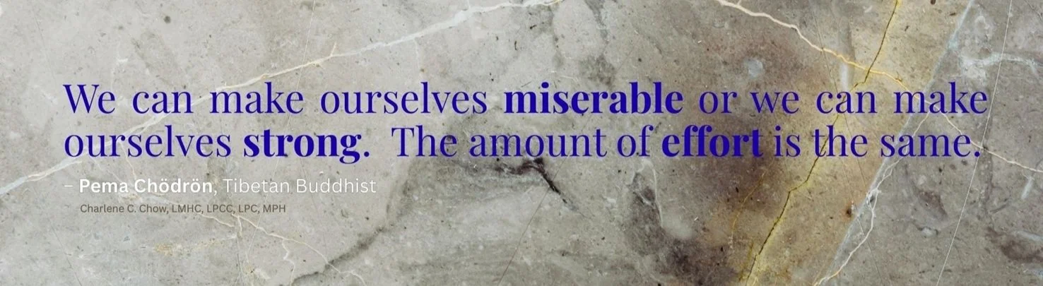 Quote about personal choice by Pema Chödrön