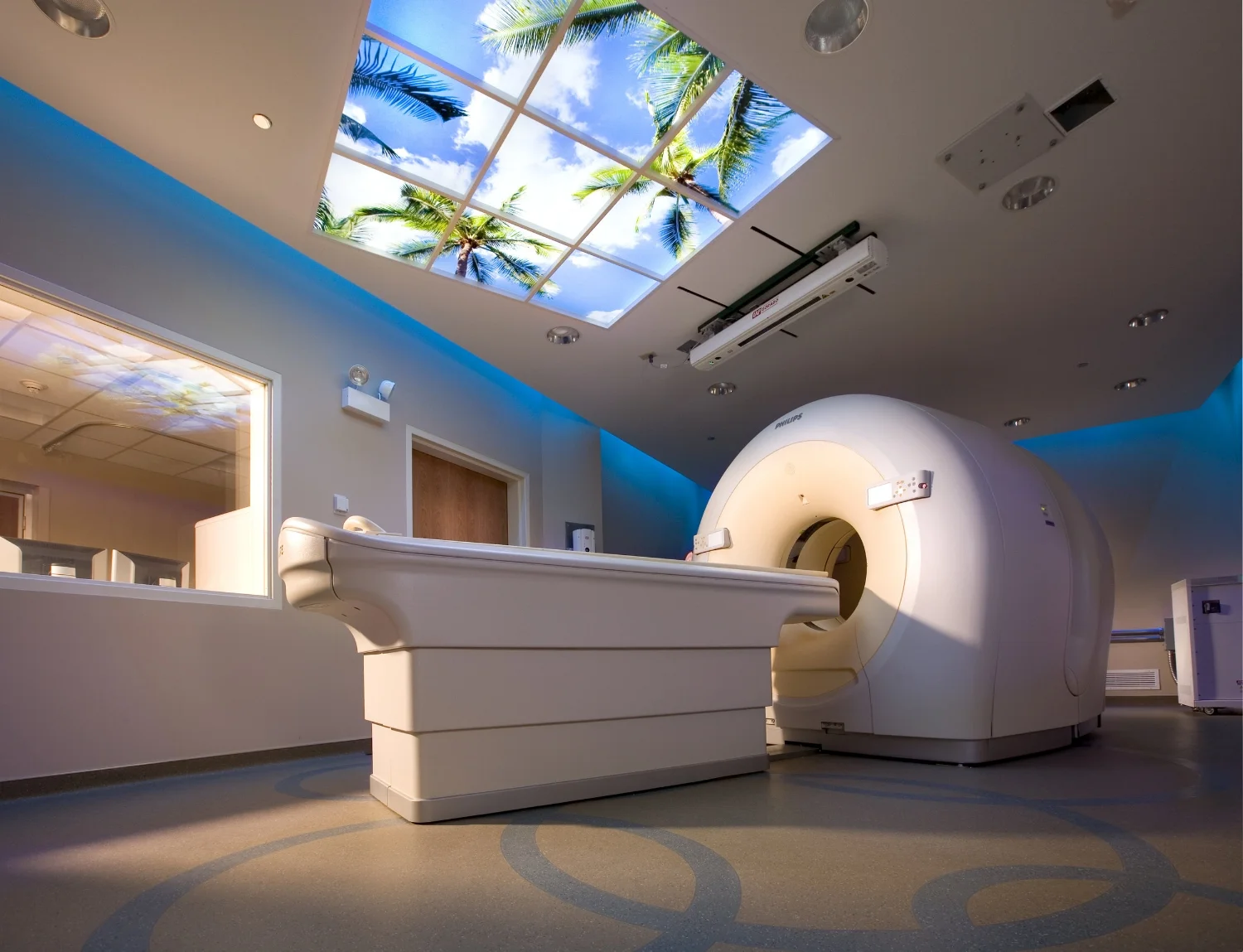 Pet Scanner Blue.jpg