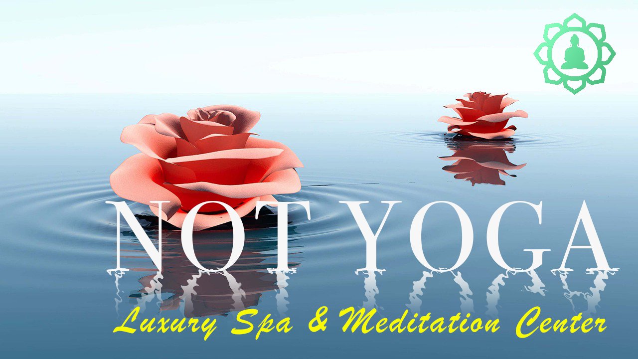 NOT YOGA.jpg