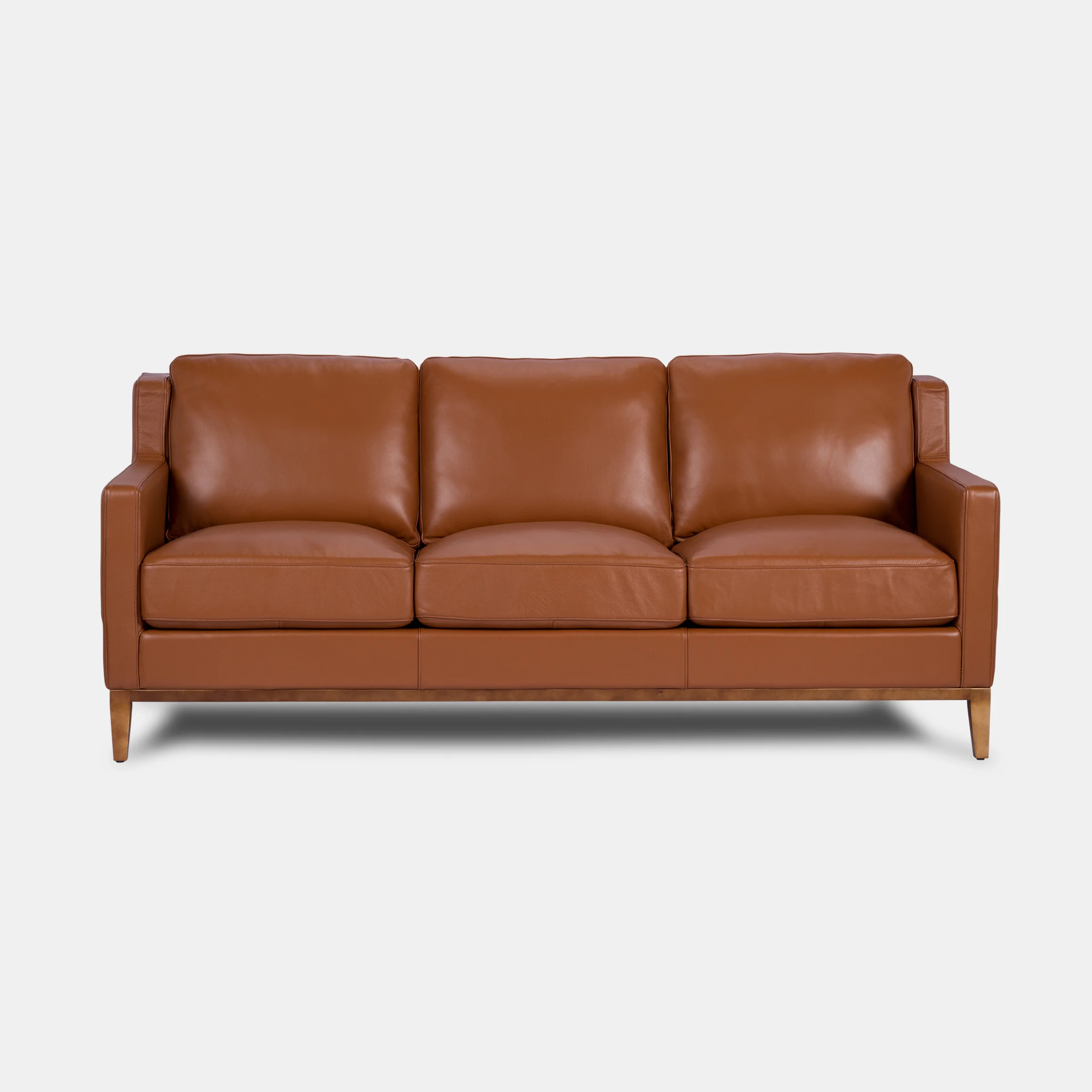 Anders-Wink-Saddle-1.jpg
