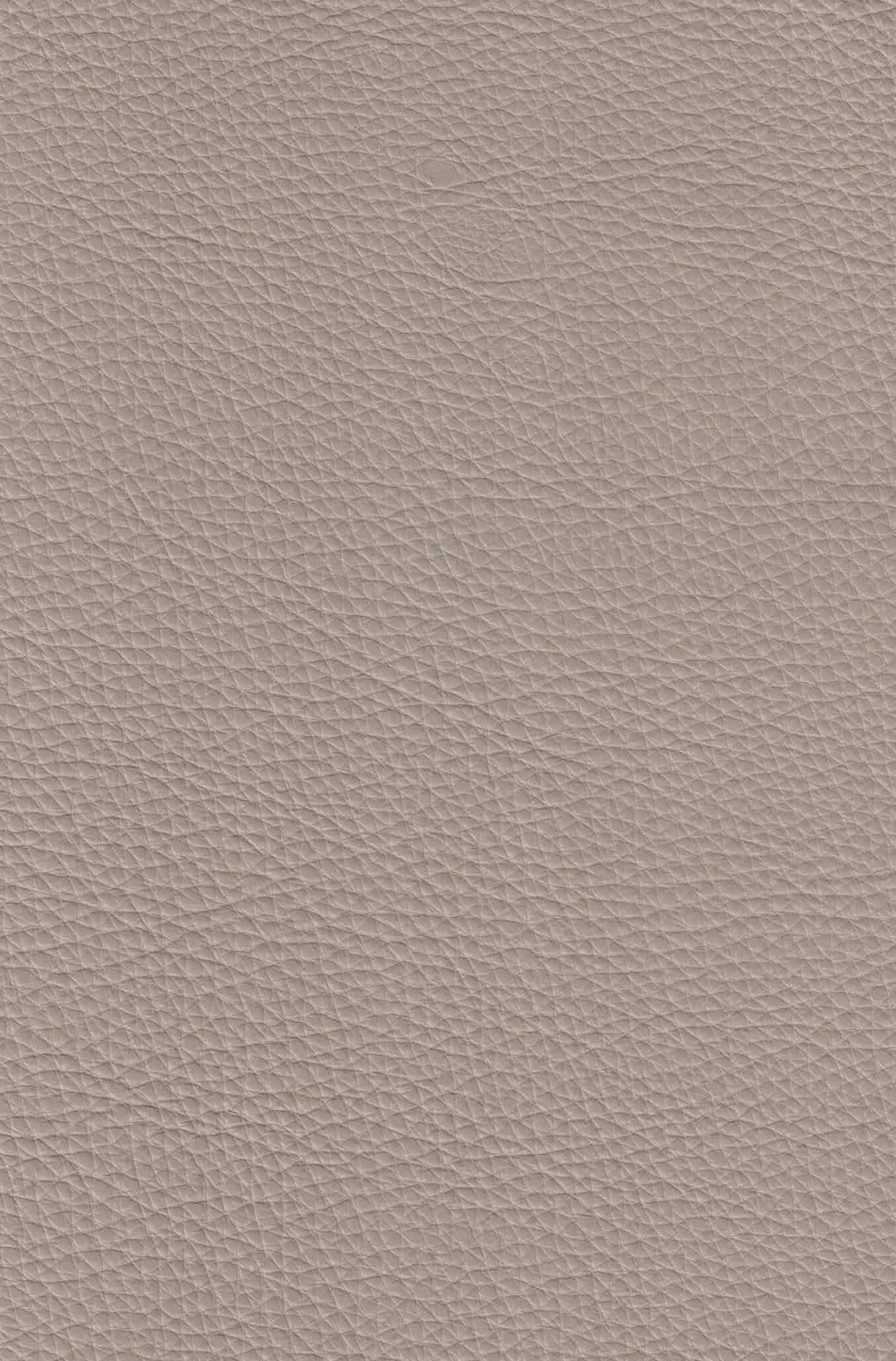 Mammoth Gray Taupe