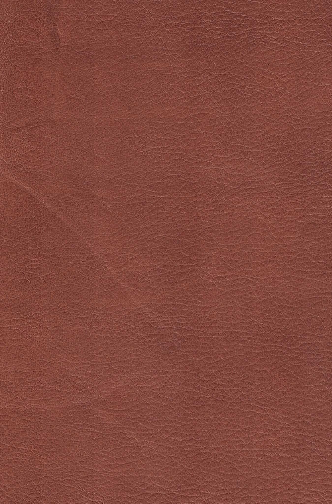 No Regrets Pure Cognac