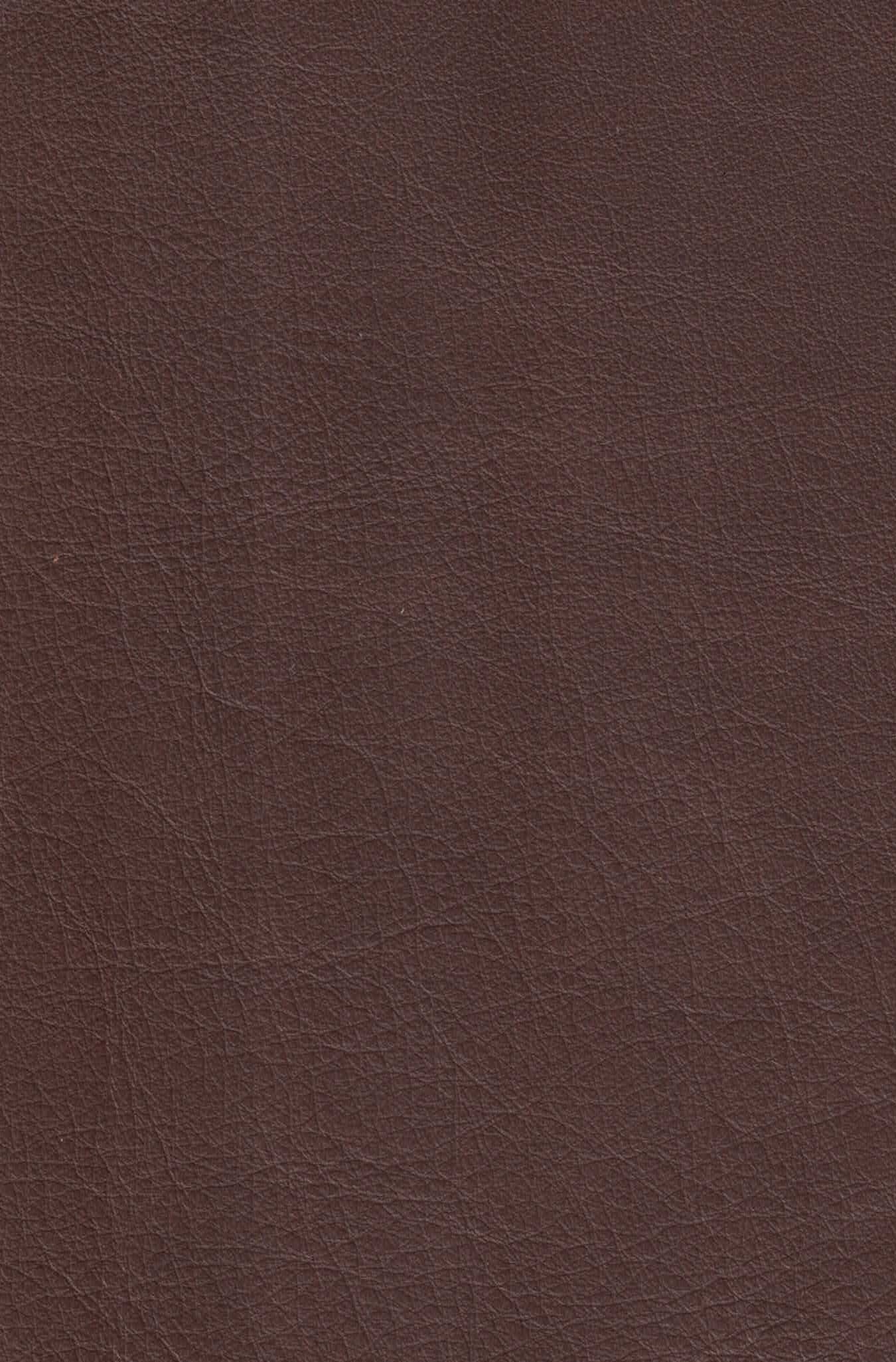 No Regrets Heart of Brown