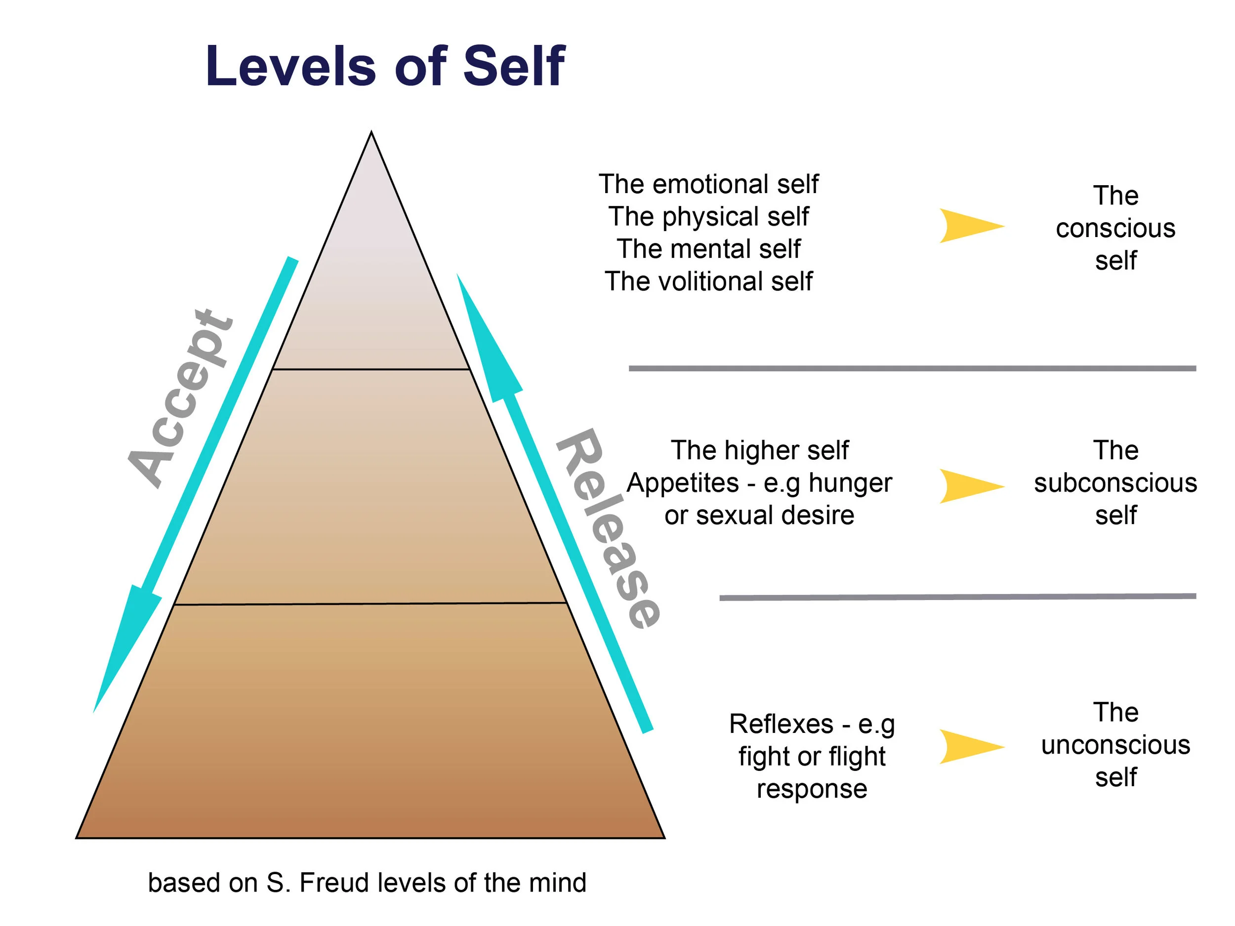 This diagram based on the work of Sigmund Freud shows how the levels of self govern the different parts of our behaviour. Change has to work with the levels of self if it is going to stick.