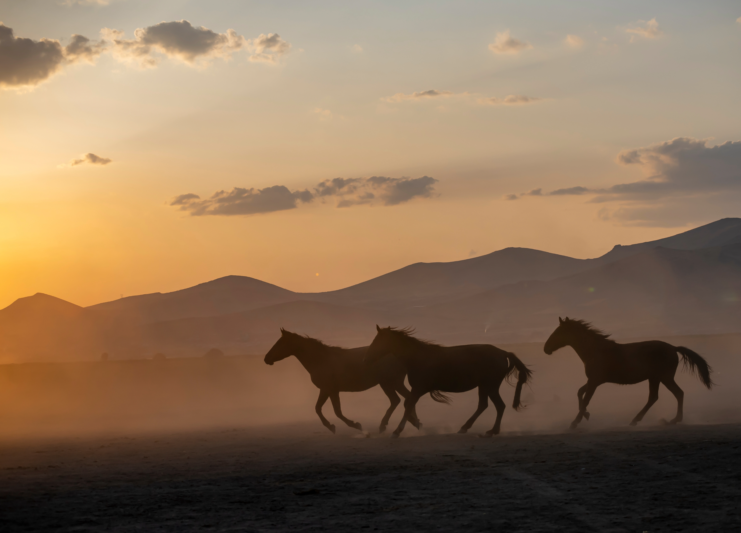 robbyromero.com (cover page).png