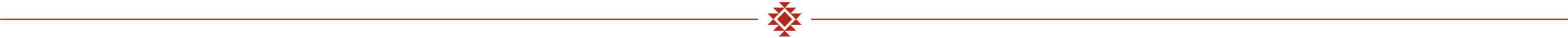 symbol-red1-divider.png