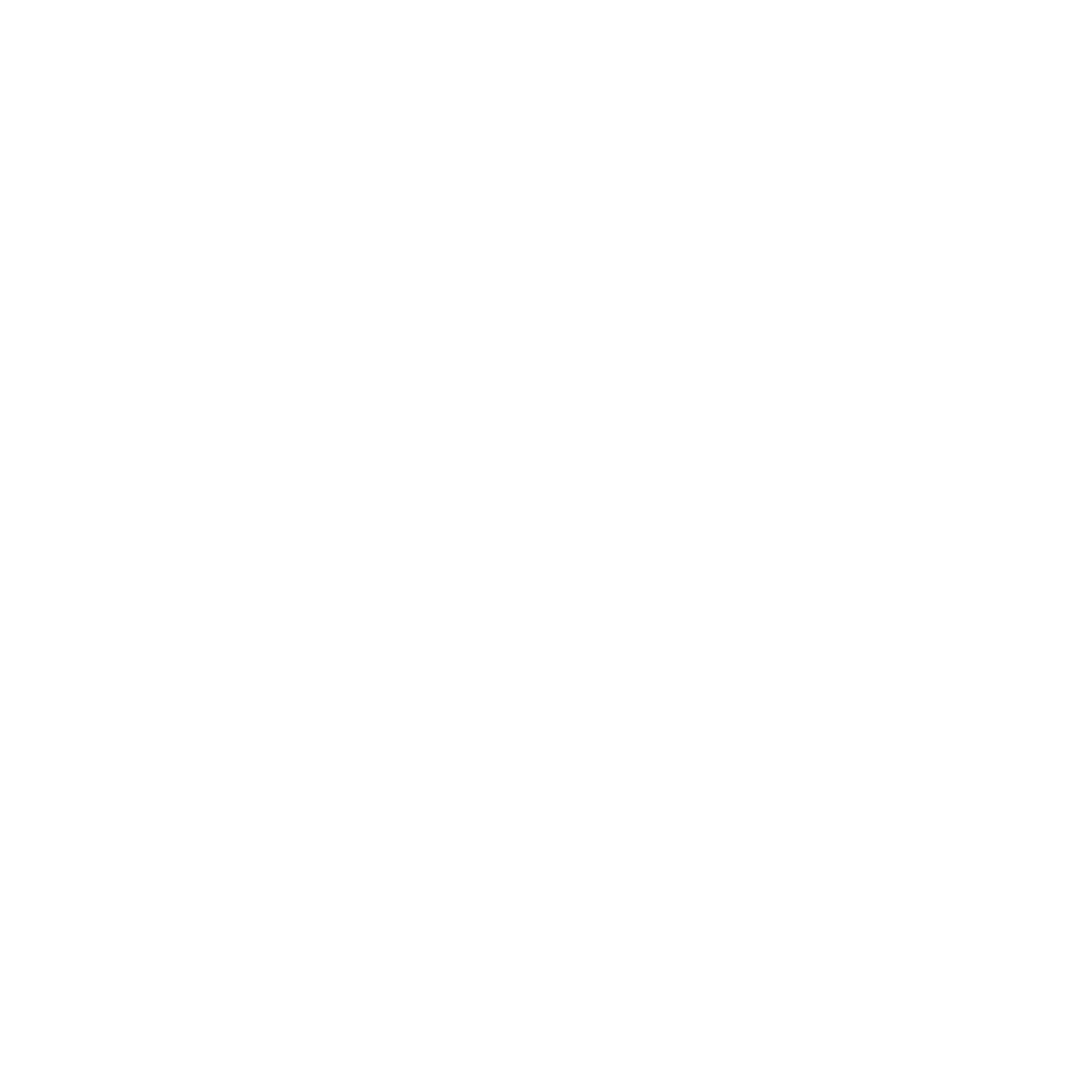 Sundance Film Festival.png