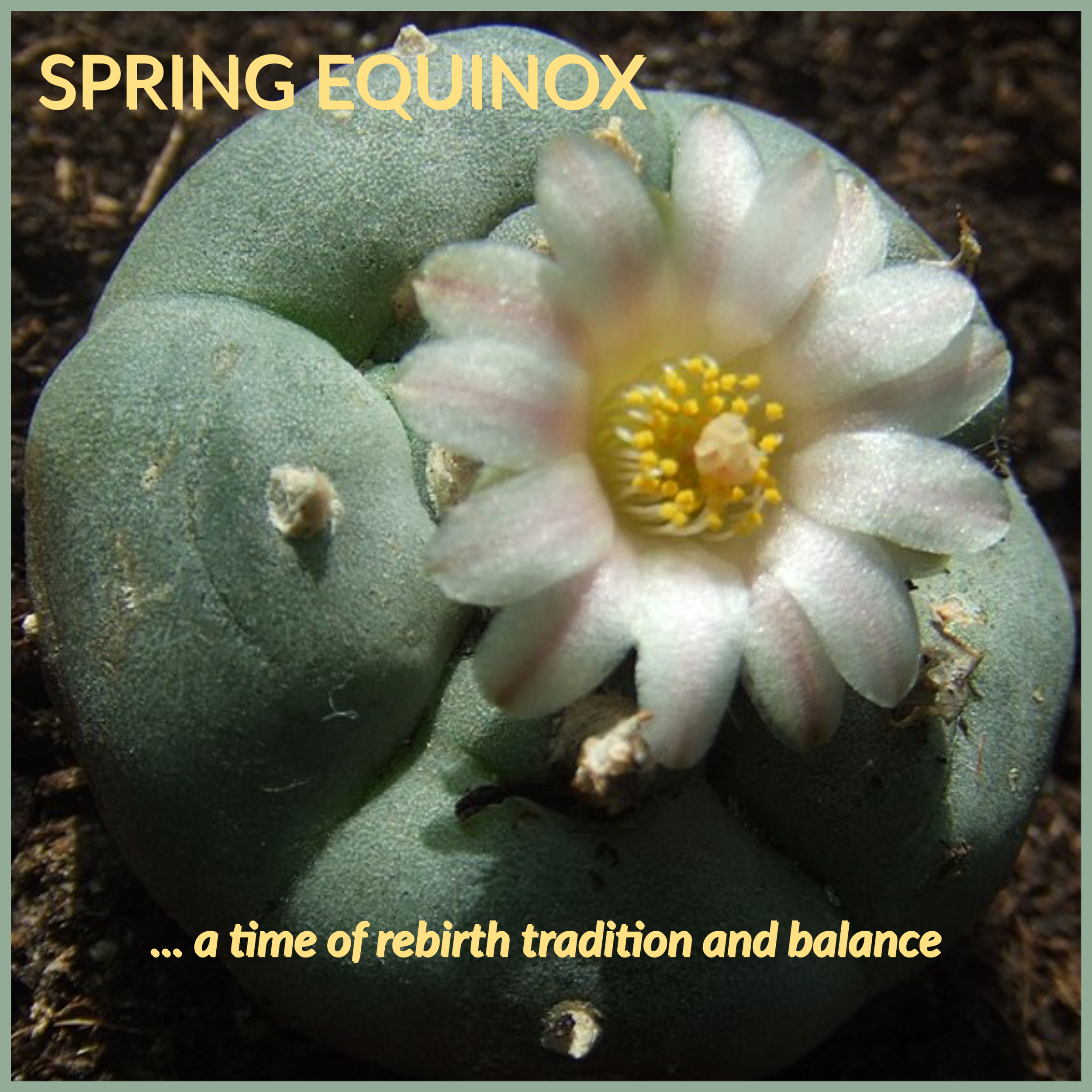 SPRING EQUINOX 2023-1.png