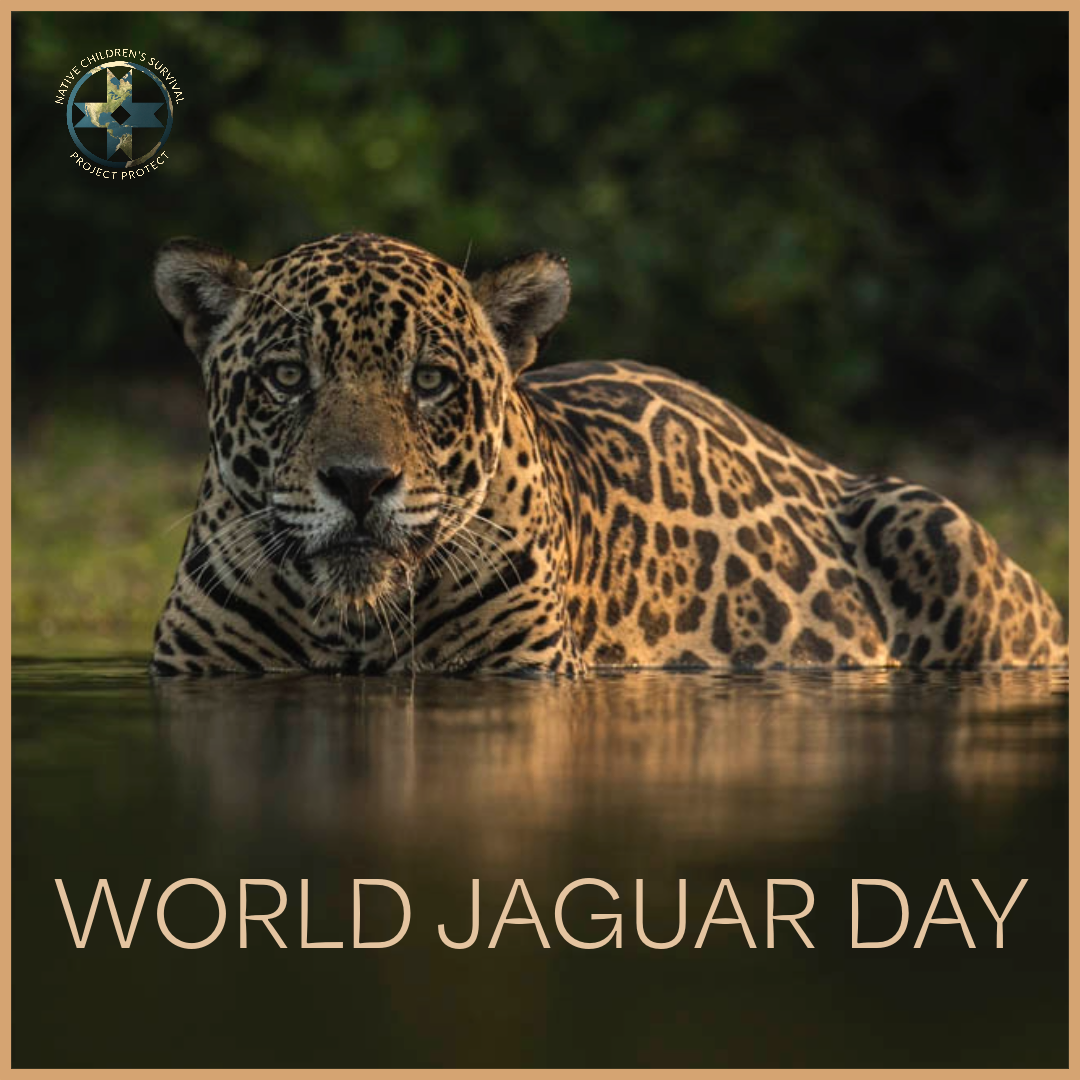 International Jaguar Day