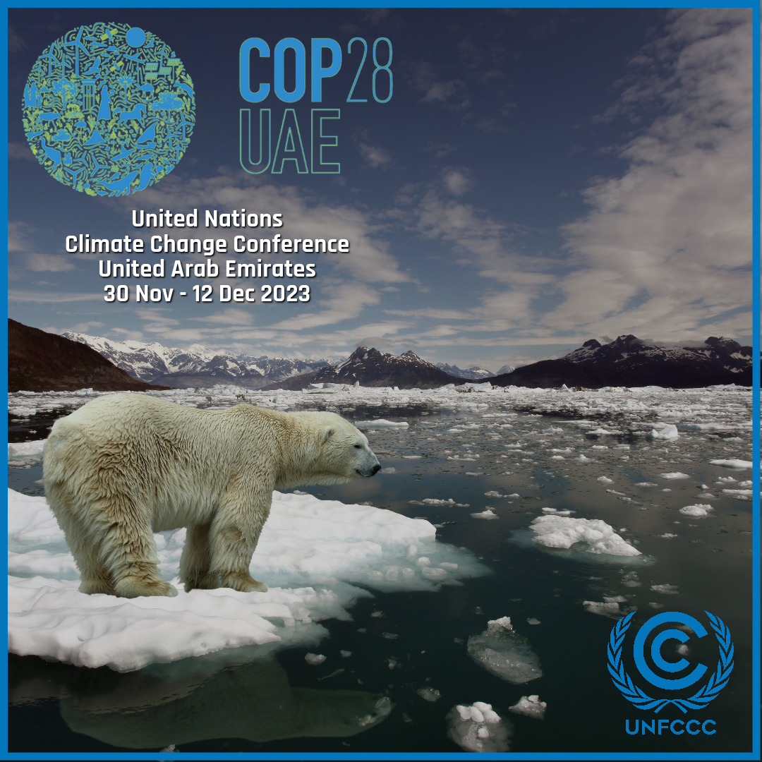 UN COP28 UAE