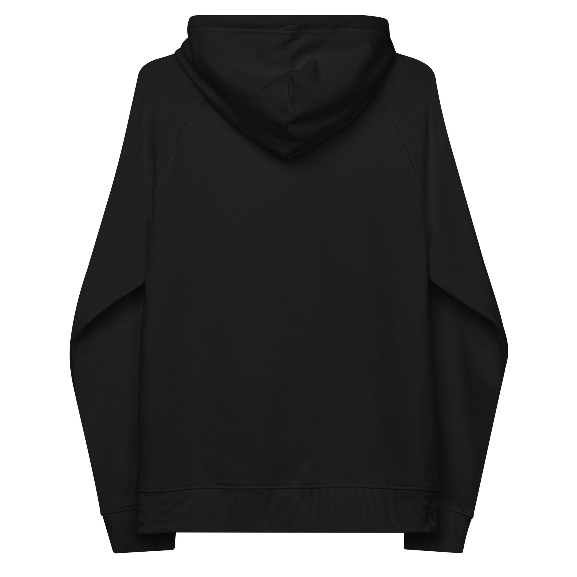 unisex-eco-raglan-hoodie-black-back-68aa4e70acaf7.png
