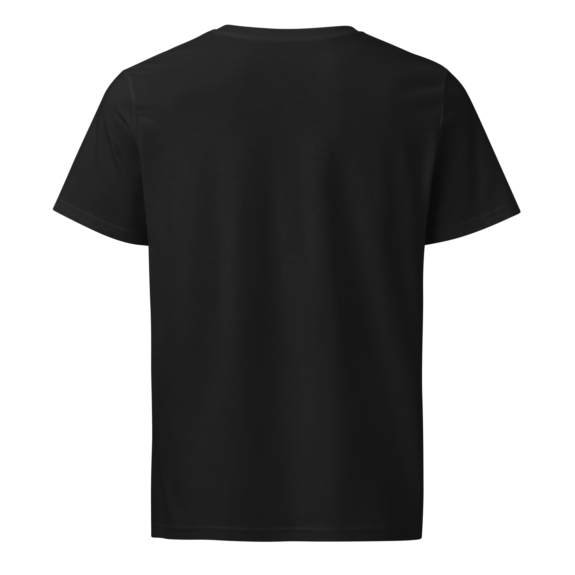 unisex-organic-mid-light-t-shirt-black-back-68aa53c303610.png