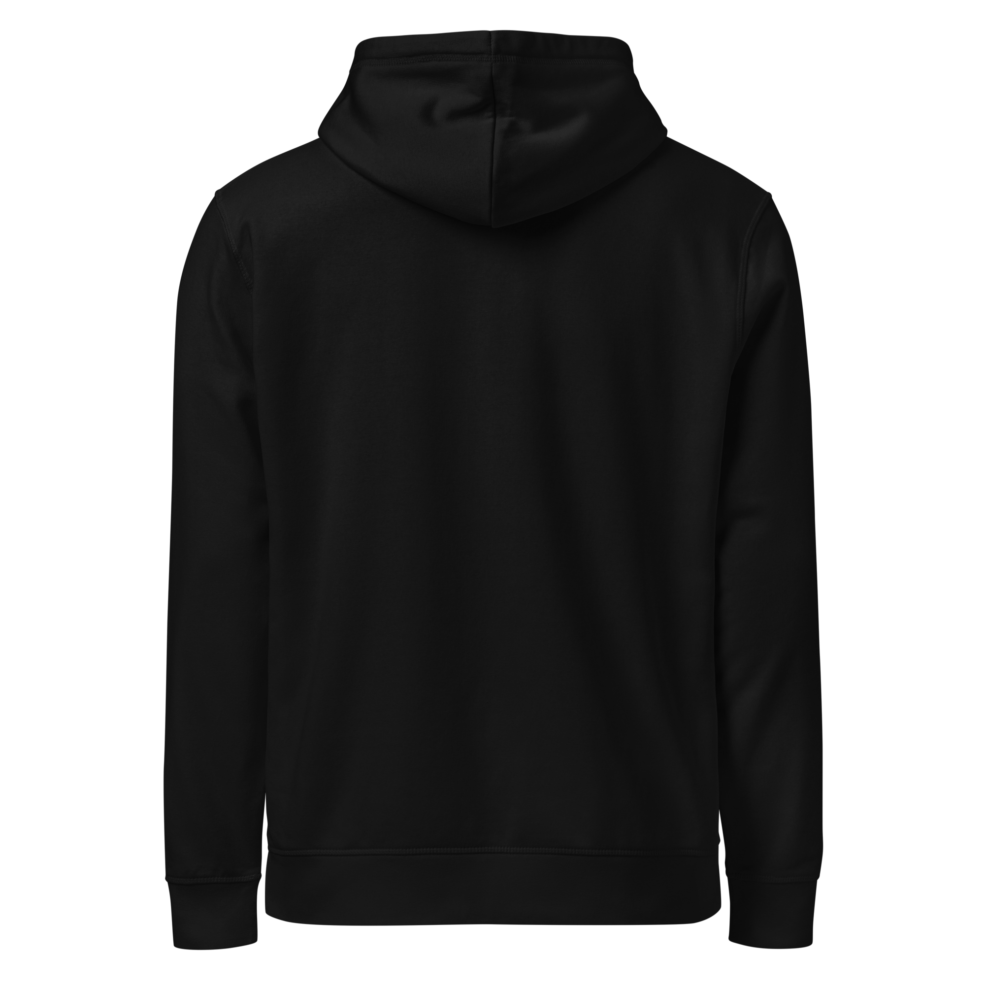 unisex-organic-mid-weight-hoodie-black-back-693c4f3e4a5d2.png