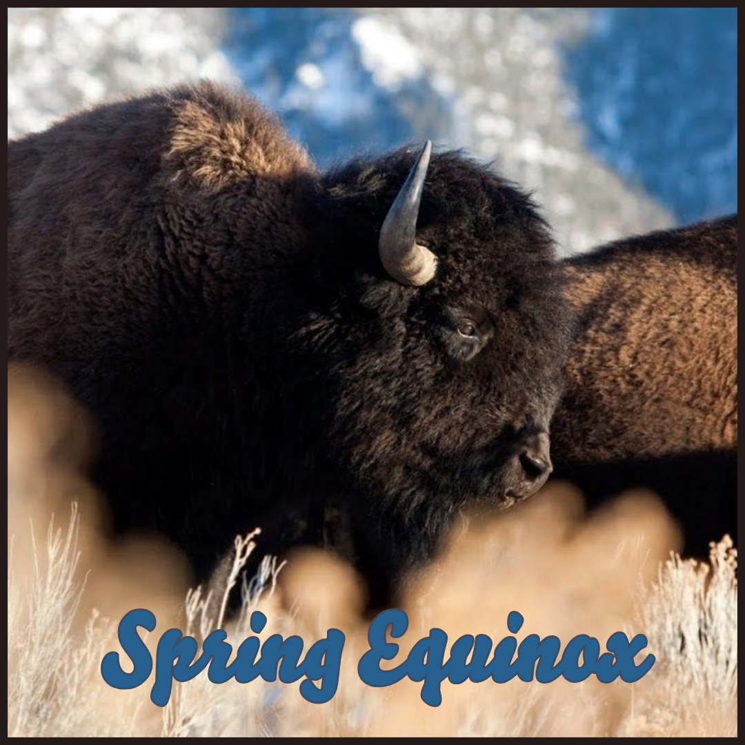 THE FIRST DAY OF SPRING