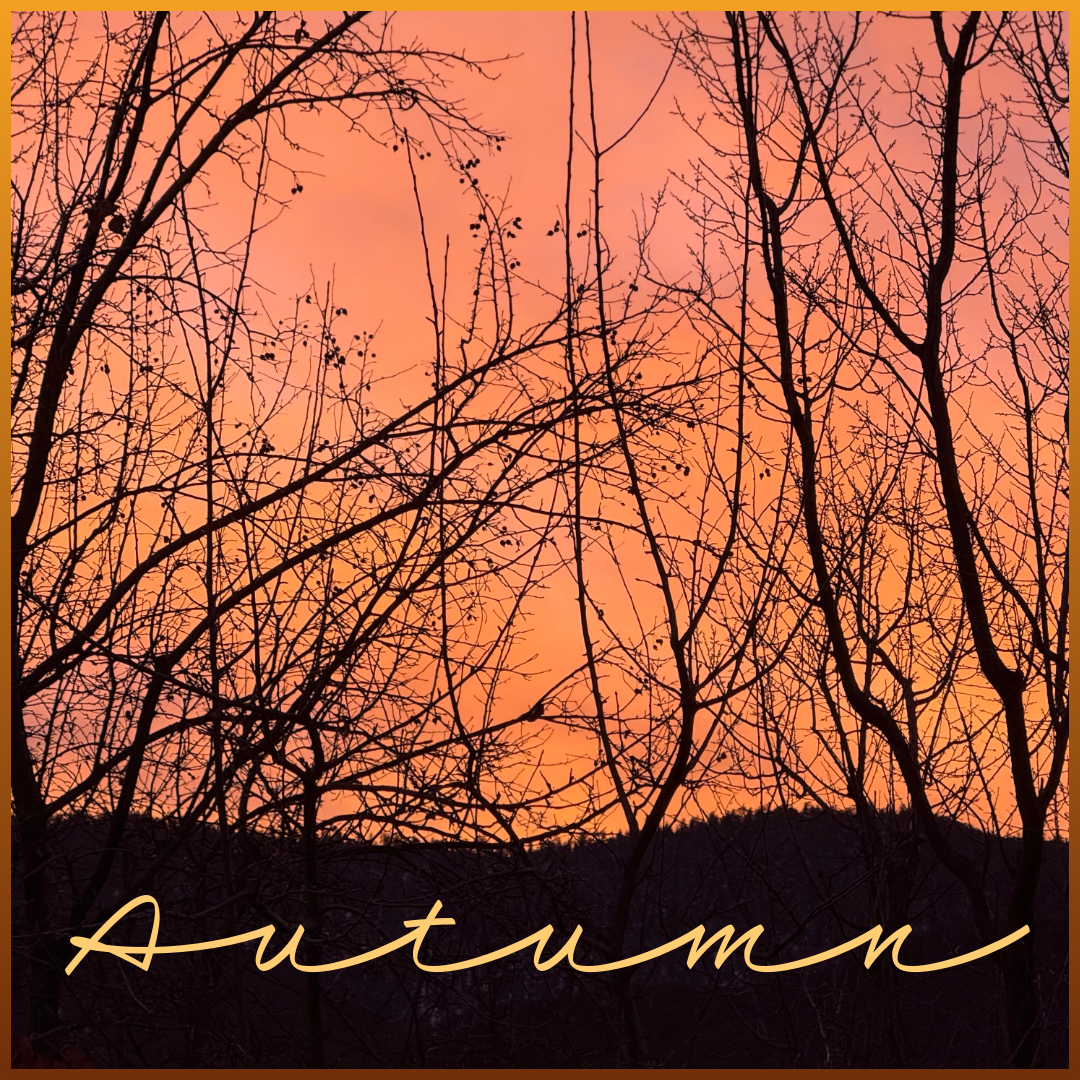 Autumn 2026