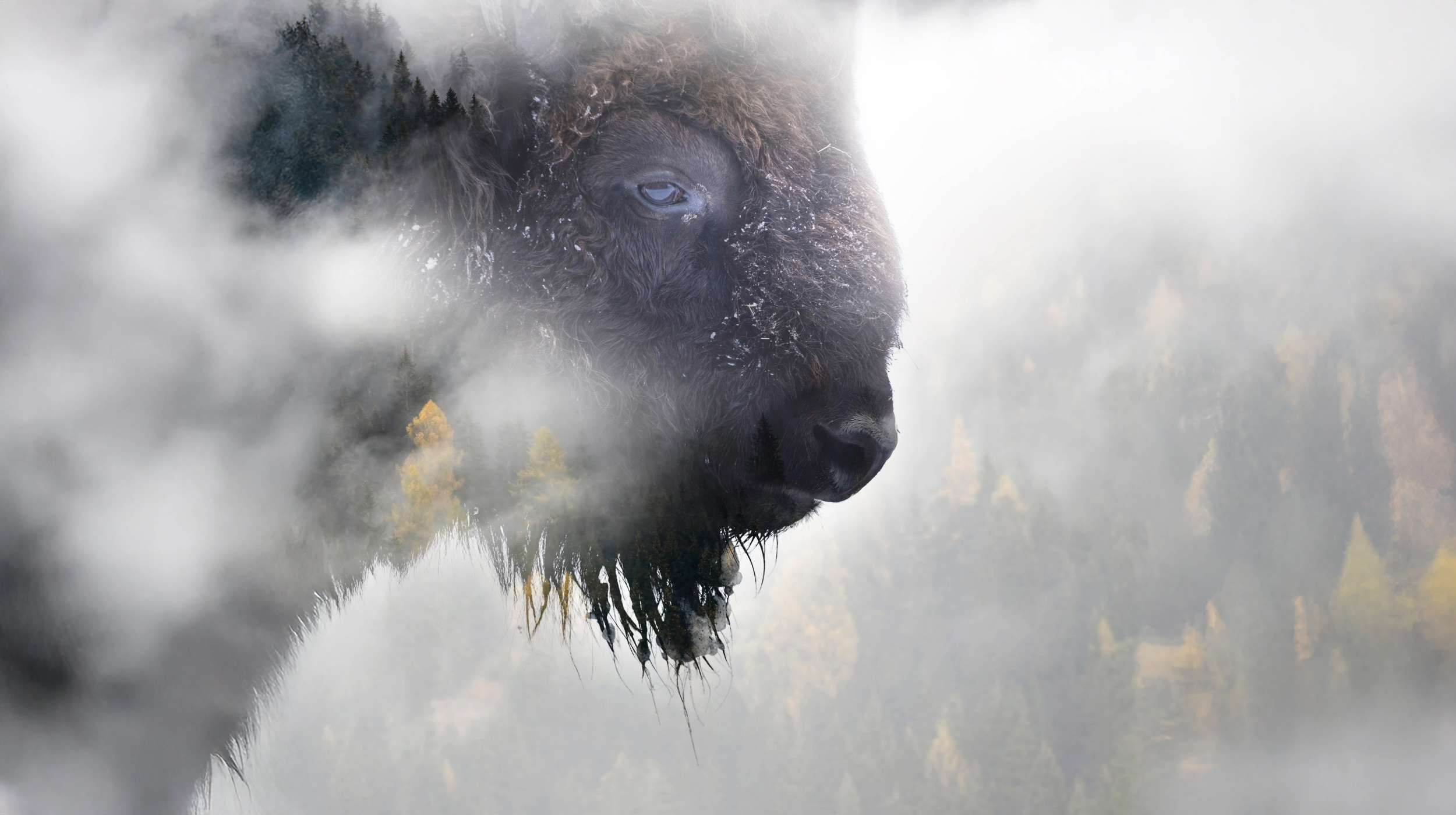 ETE WINTER SOLSTICE .png