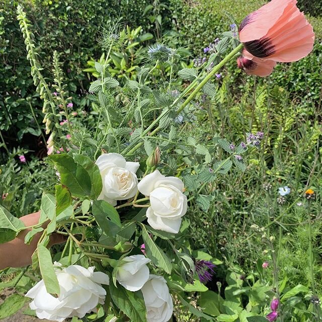 We&rsquo;ve picked from the garden for an afternoon of flowering, in celebration of #britishflowersweek 🌸