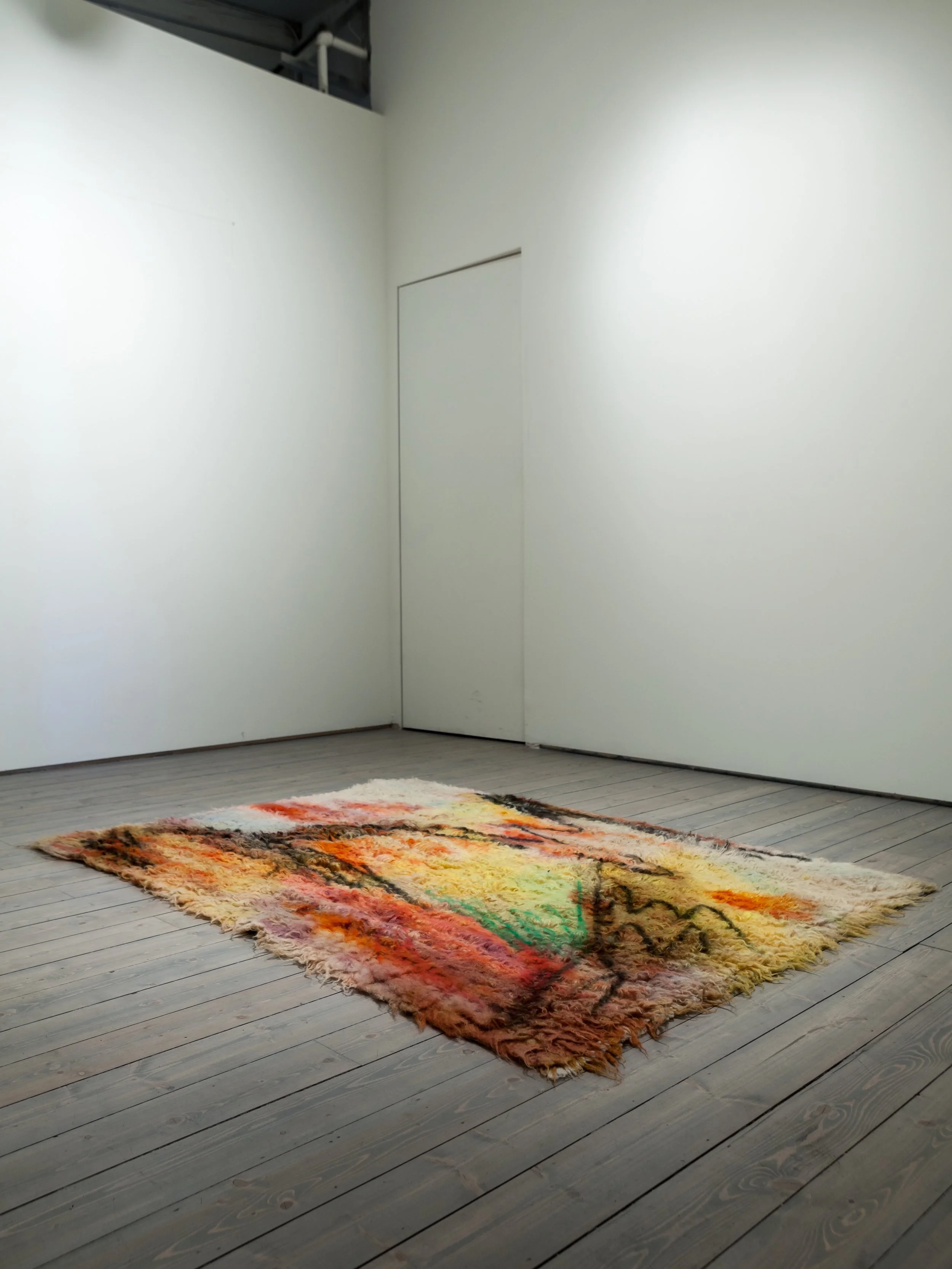 Boiled, 2014, acid dye, wool rug, dye stripper, chalk pastel, hairspray 5’x7’