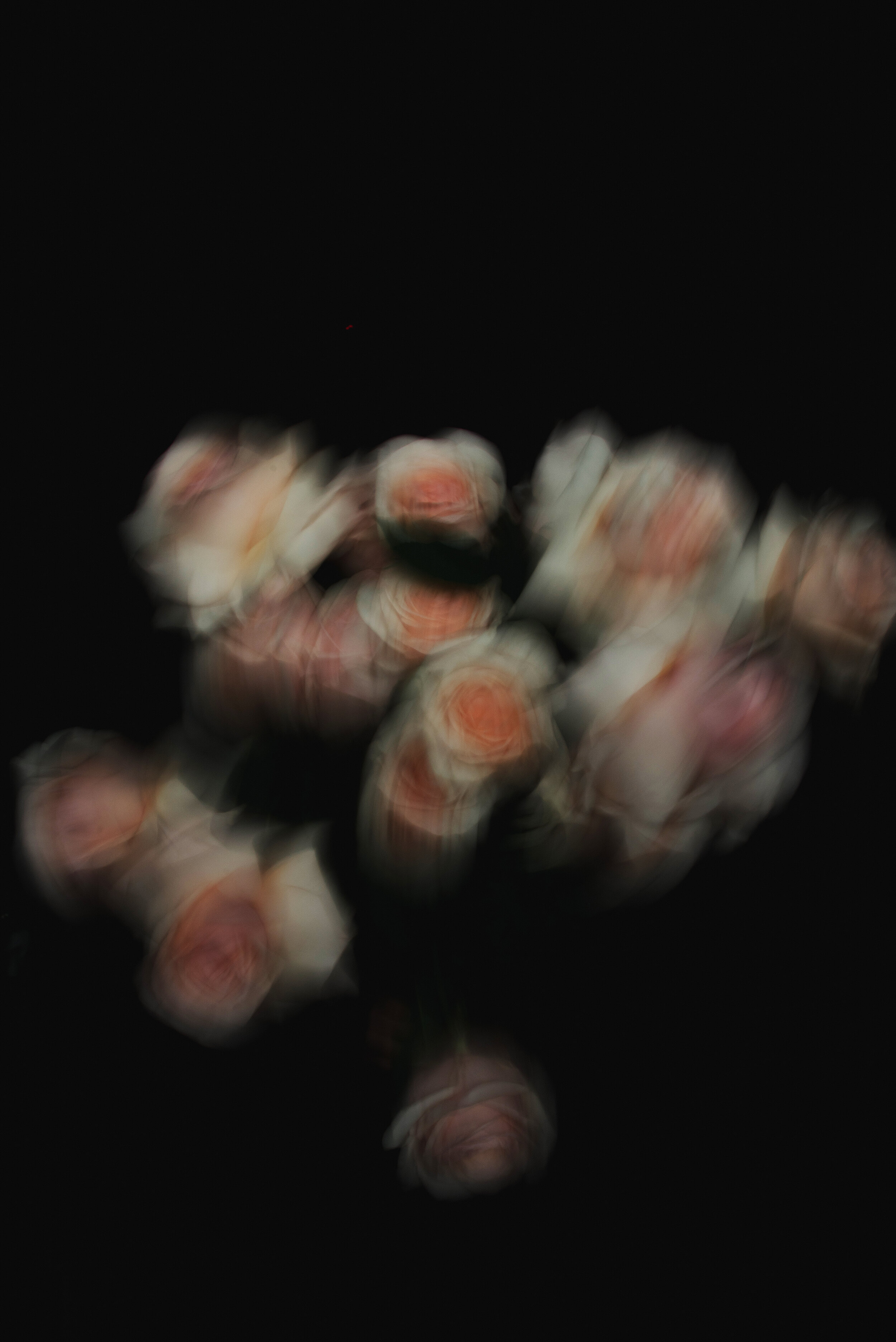 blurryrose-2863.jpg