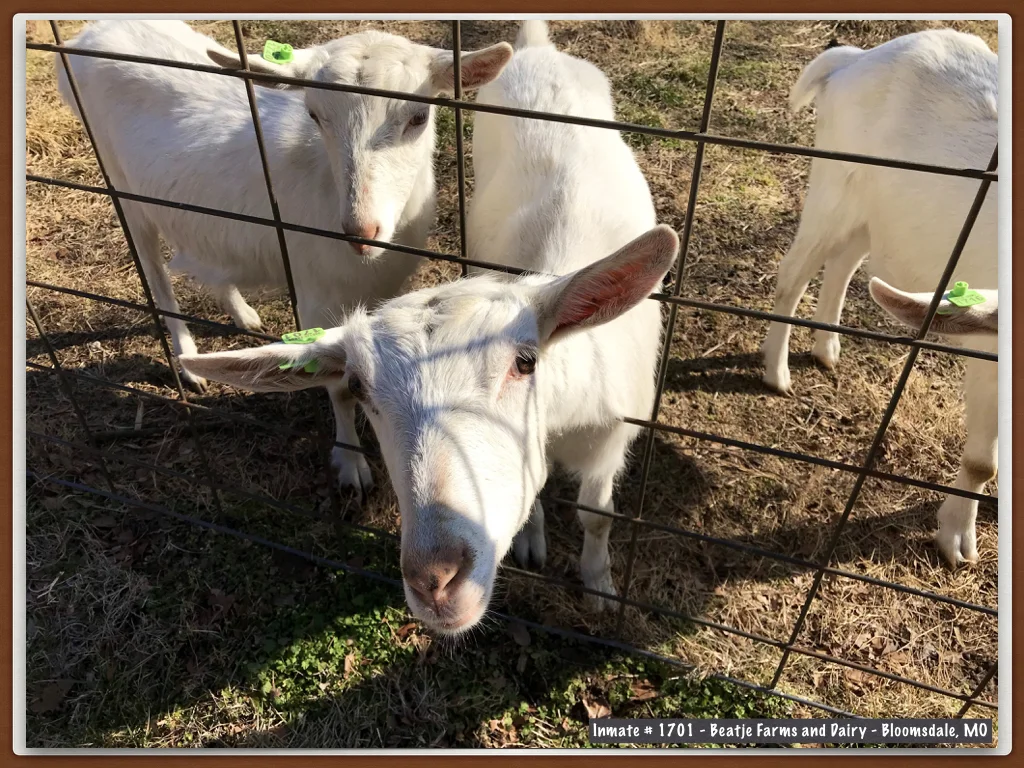 Wabash 2018 Show A copy.013.jpeg