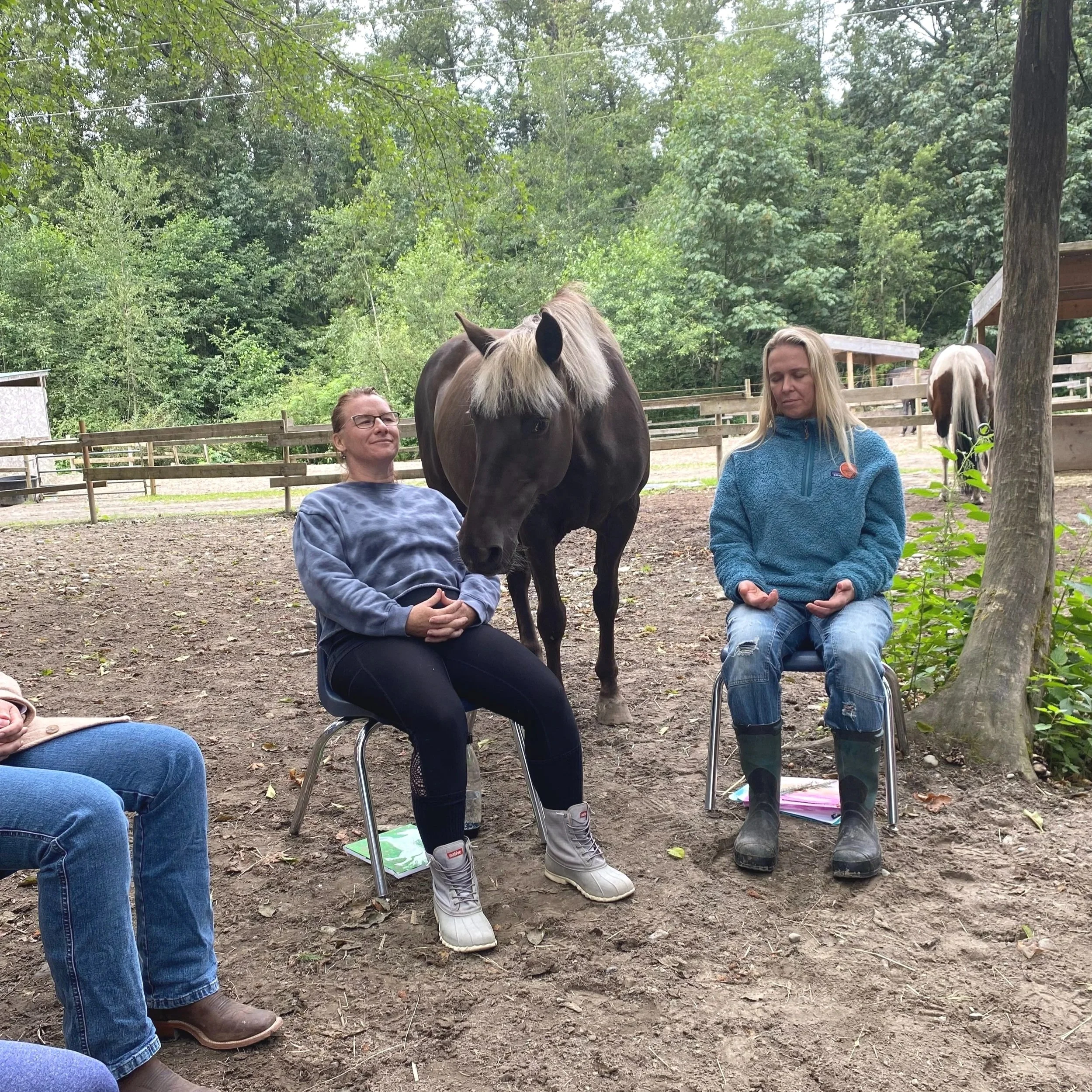 Two women sitting on chairs outdoors in a wooded area, with a horse between them. One woman has short hair and glasses, wearing a blue tie-dye sweatshirt and black pants. The other woman has long blonde hair, wearing a blue fleece jacket, ripped jean