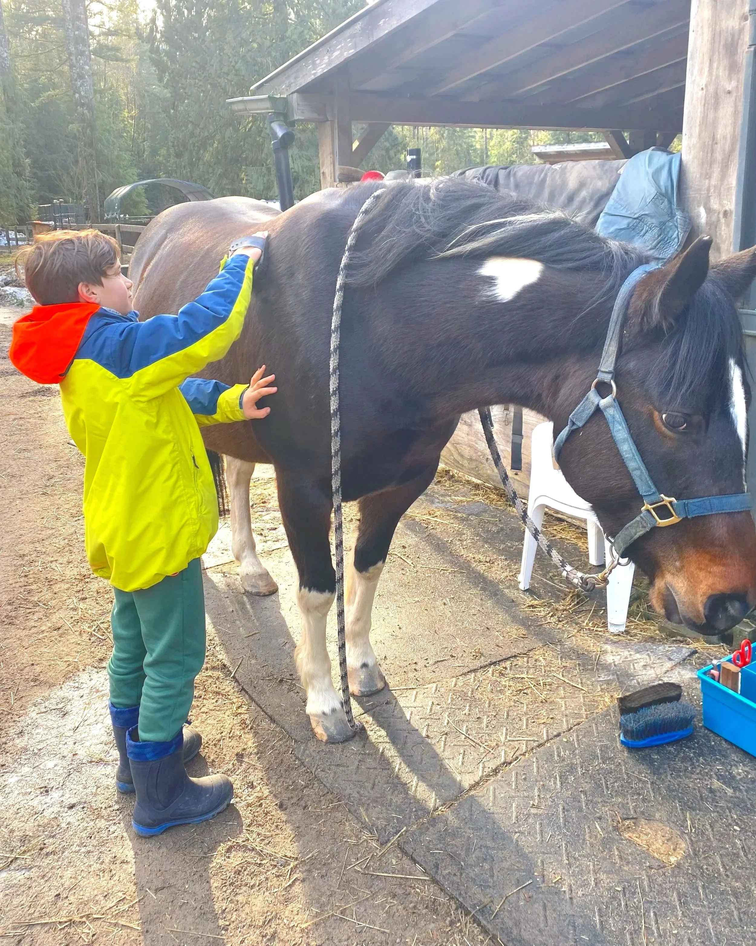 A child in a yellow jacket and rain boots petting a black and white horse belonging to a stable or farm.