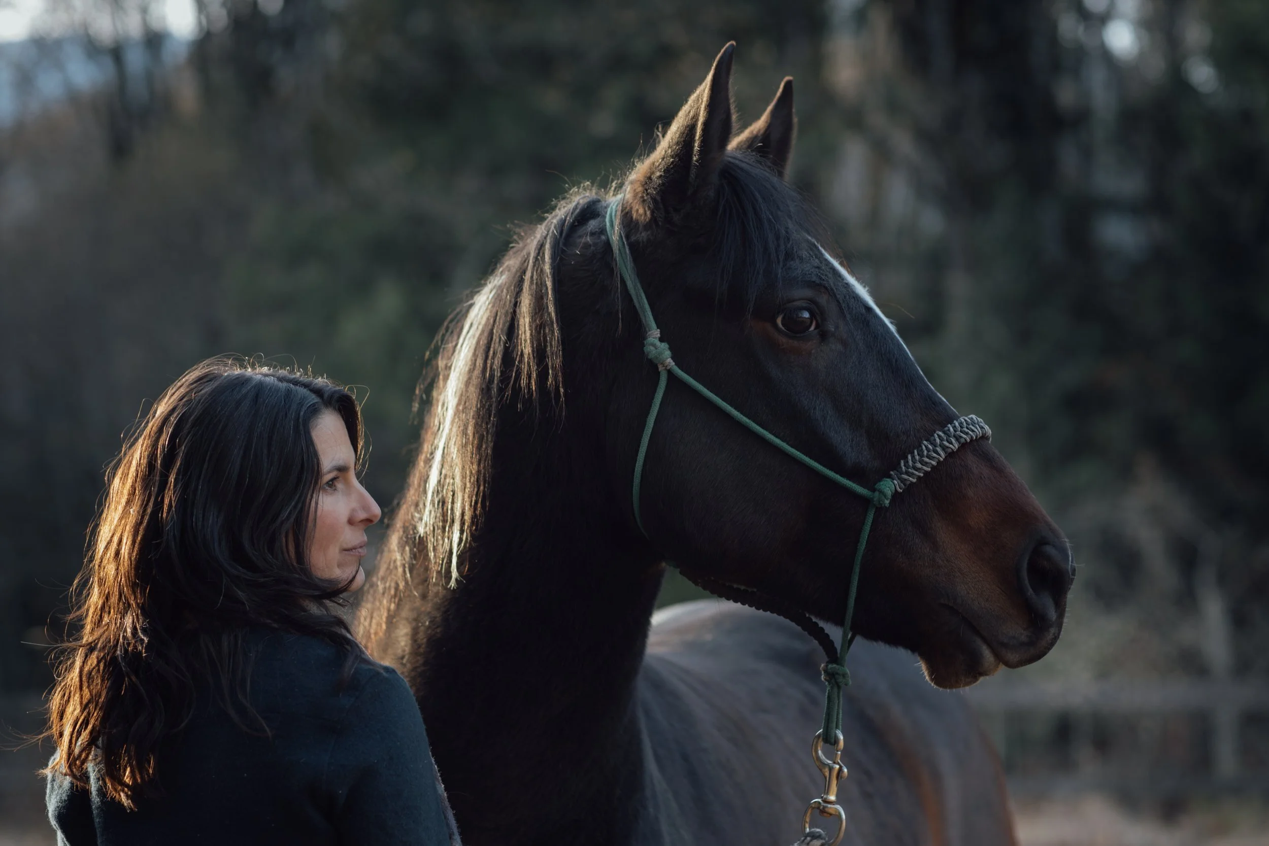 Eve_Horsemanship_HiRes-25.jpg