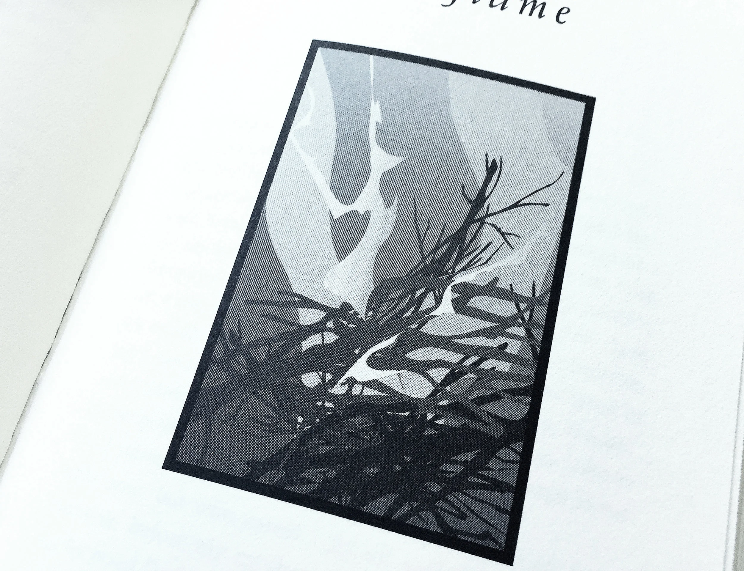 Illustrations, campfires, and friends