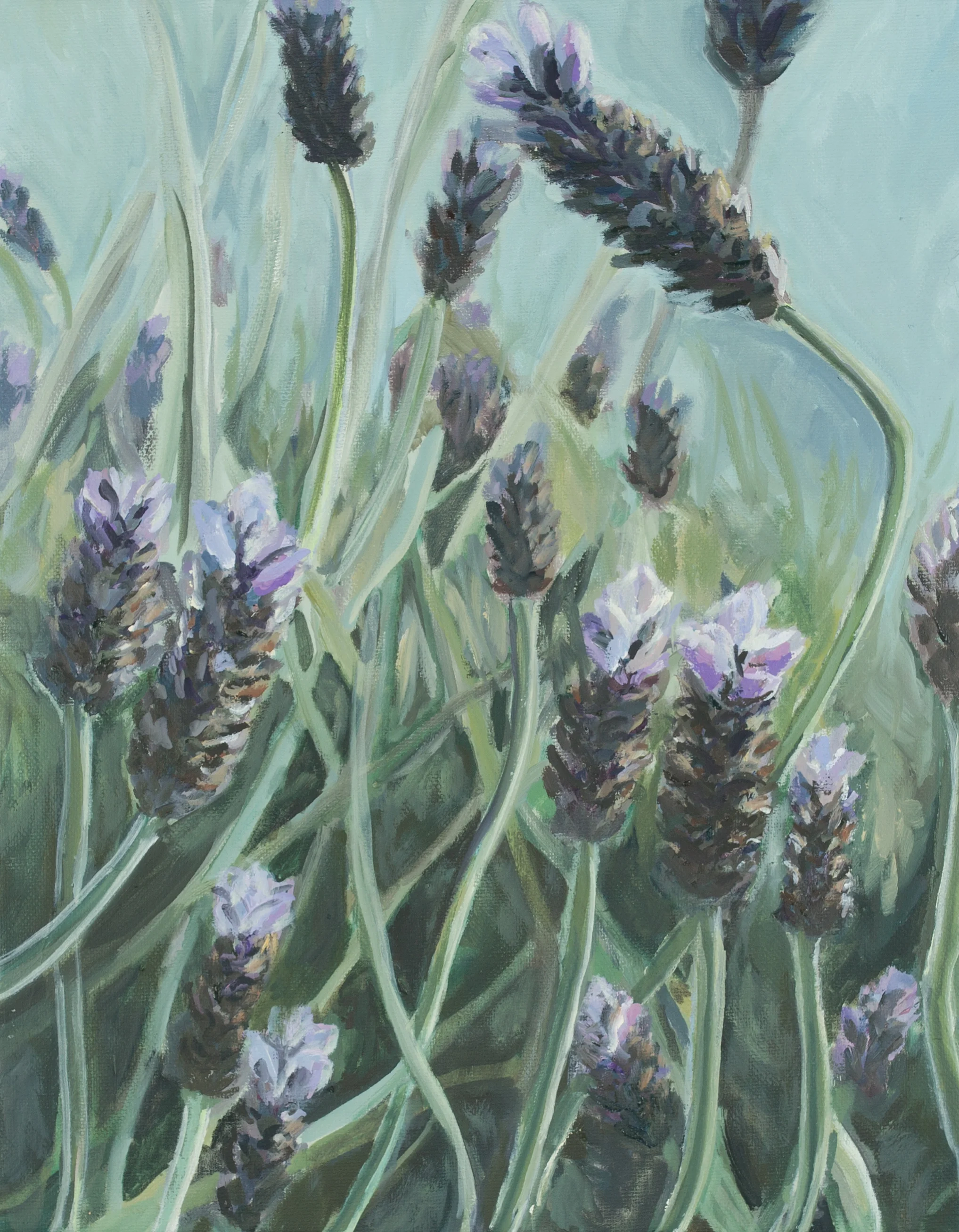 Lavender Breeze