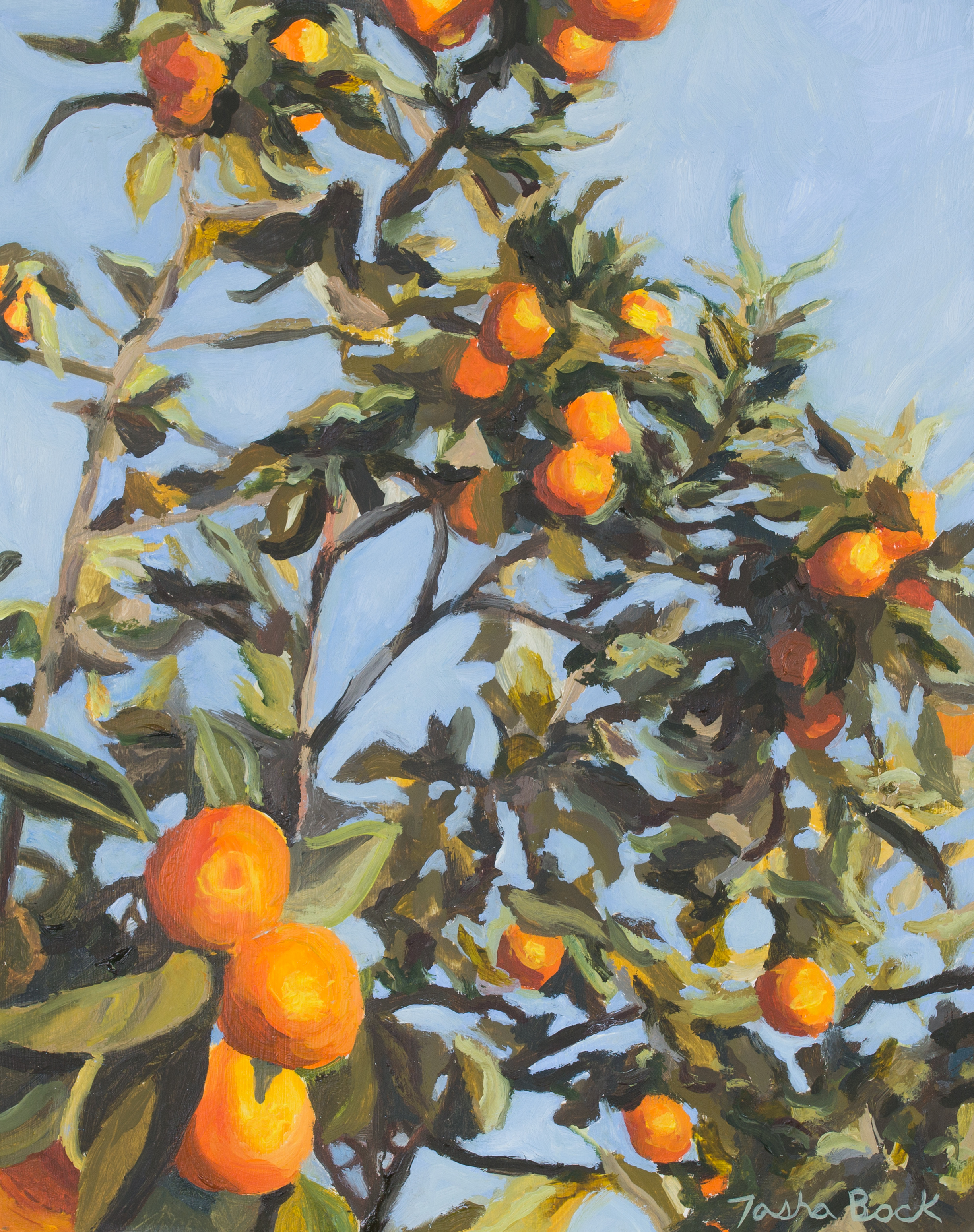 Tangerine Dream