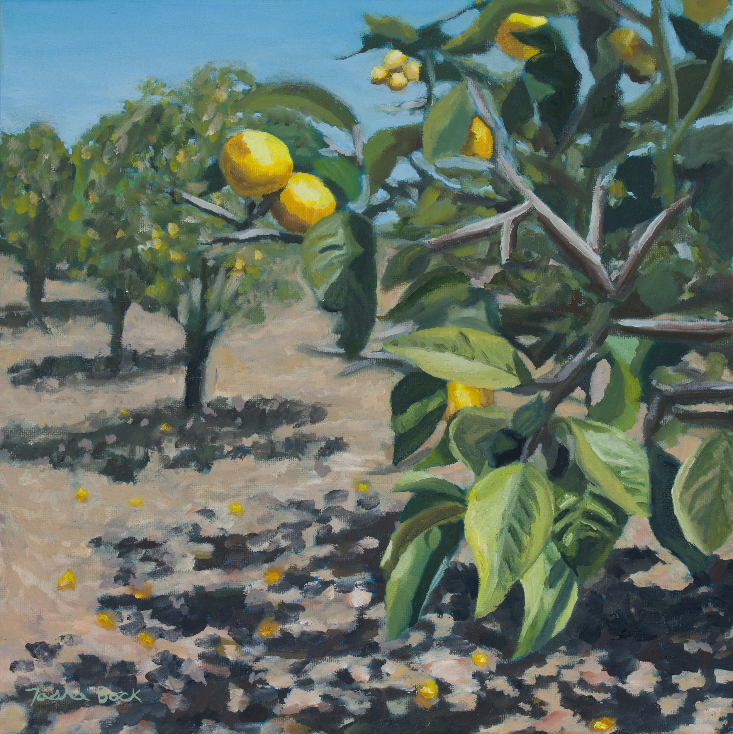 Lemon Orchard