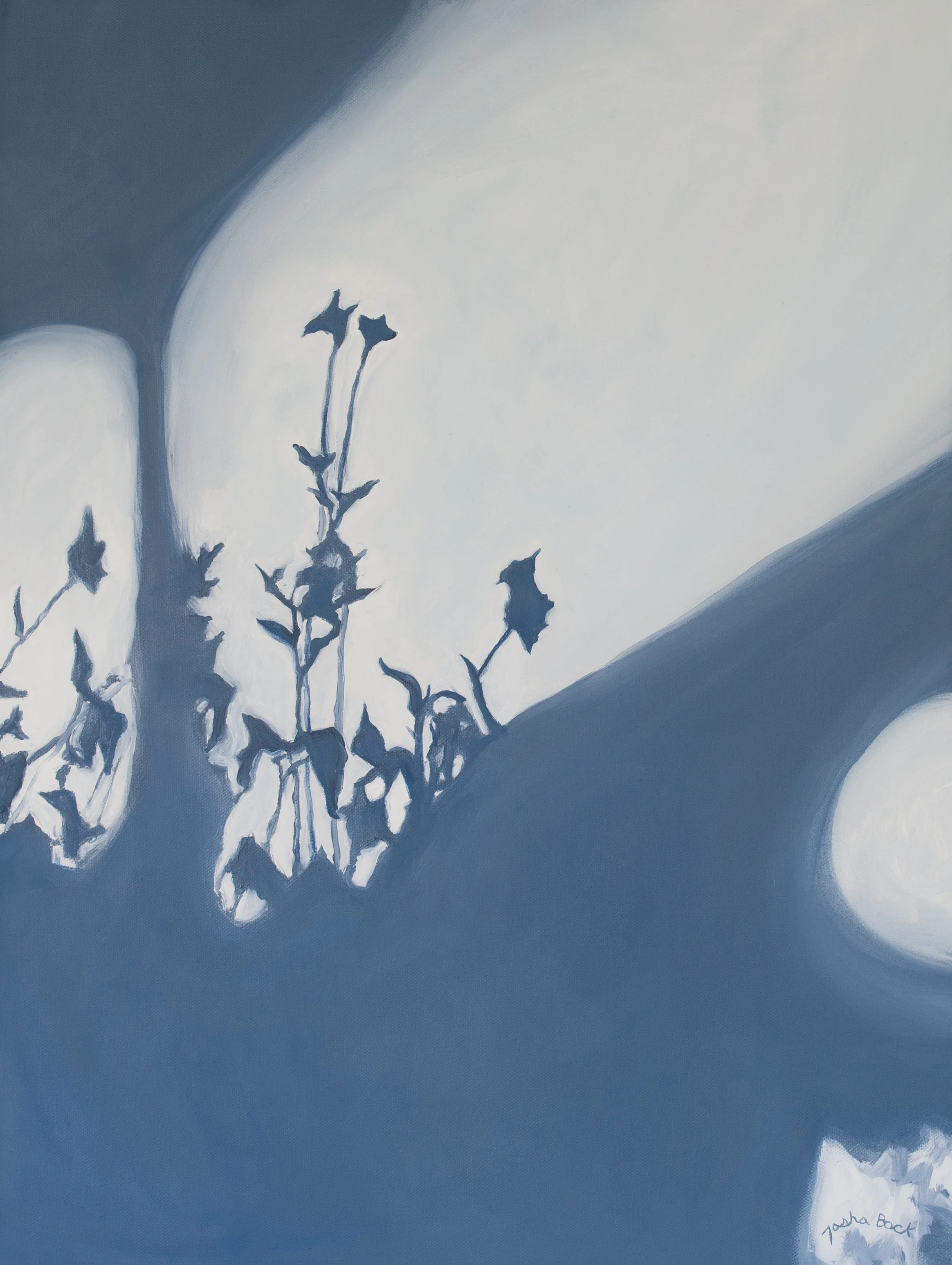 Shadow Blooms