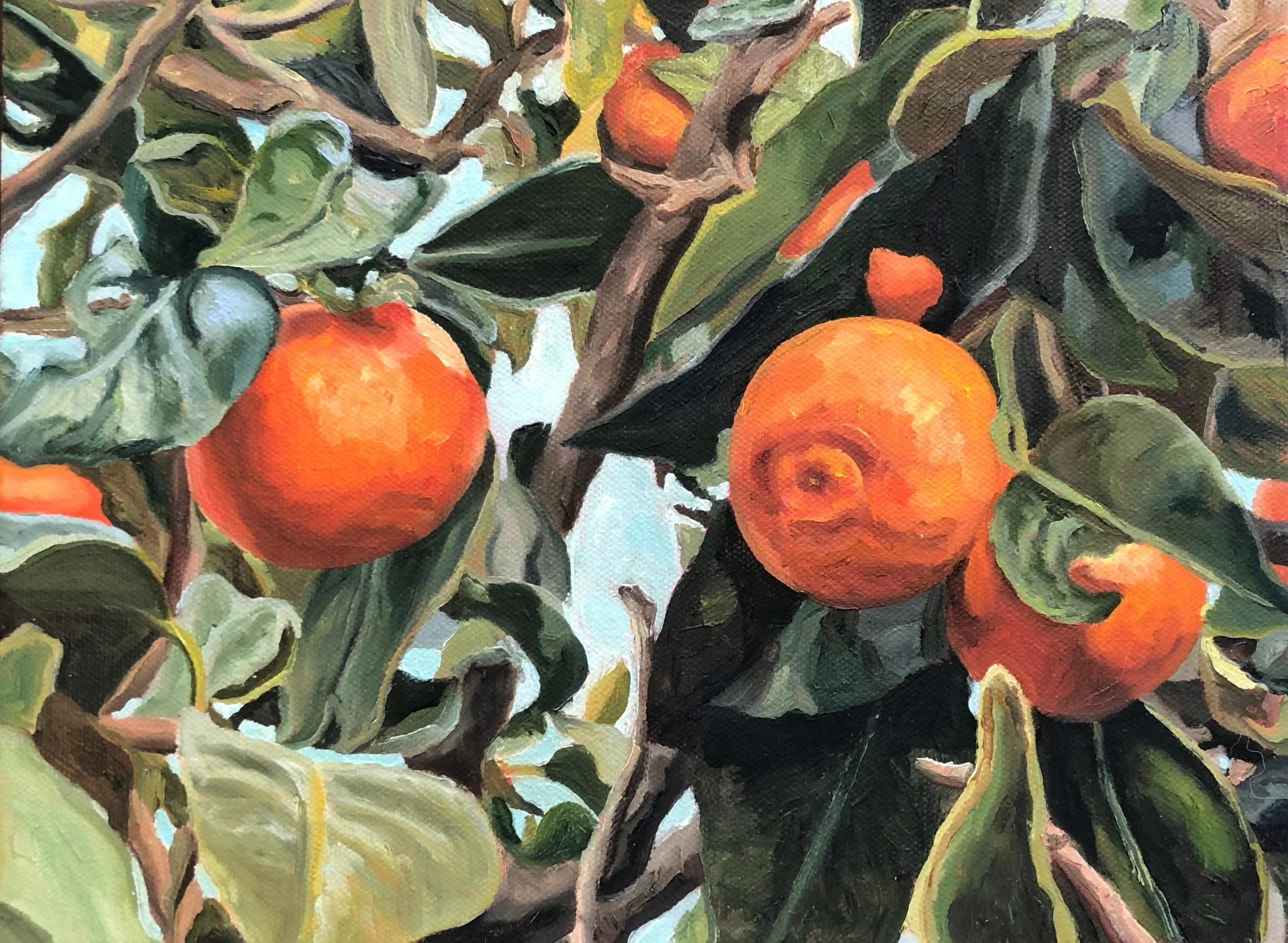 Orchard Citrus 3