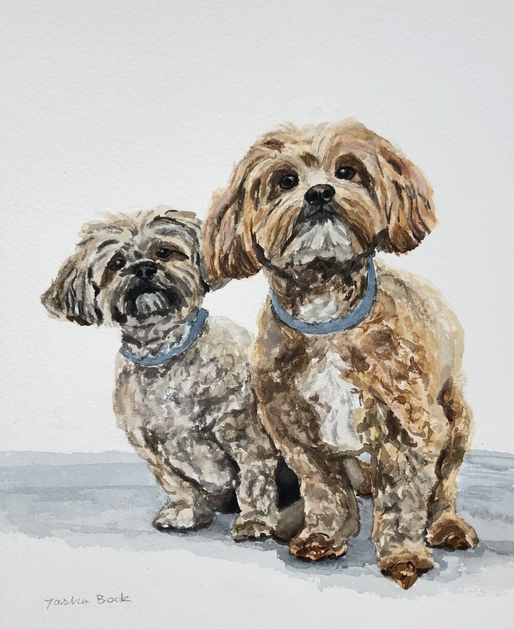 Pet Portrait — Tasha Bock