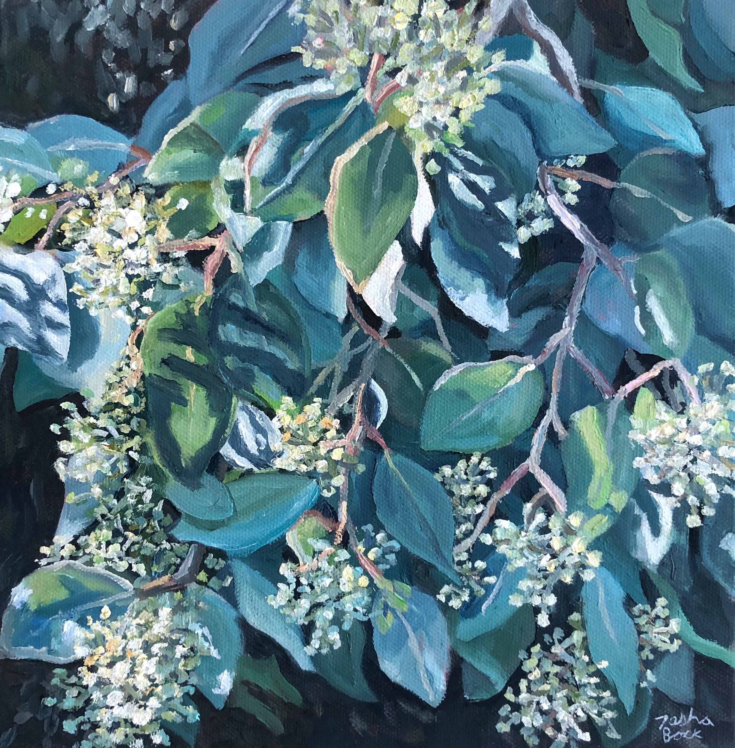 Eucalyptus Leaves