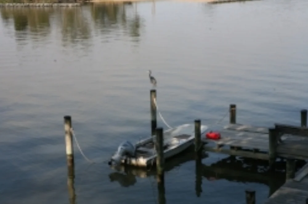 Pier in the Summertime