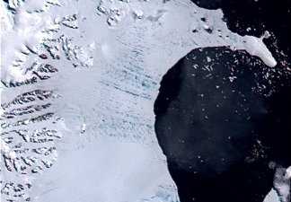 A series of images from January 31st to March 7th 2002, show the Larsen B Ice Shelf covered in meltwater ponds, and the subsequent drainage of those lakes and the catastrophic collapse of the ice shelf (NSIDC)