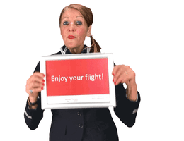 enjoy your flight.gif