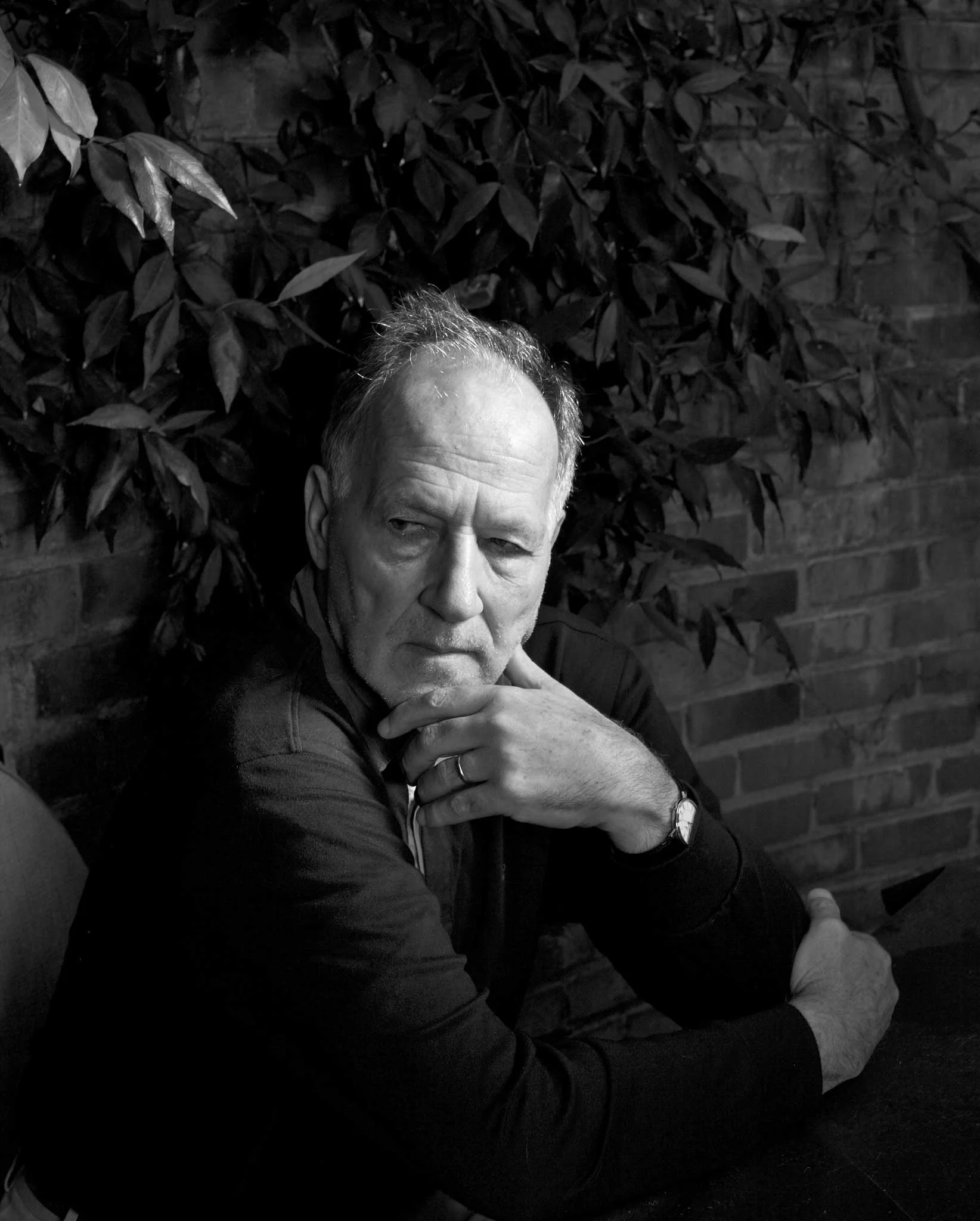 werner herzog, director