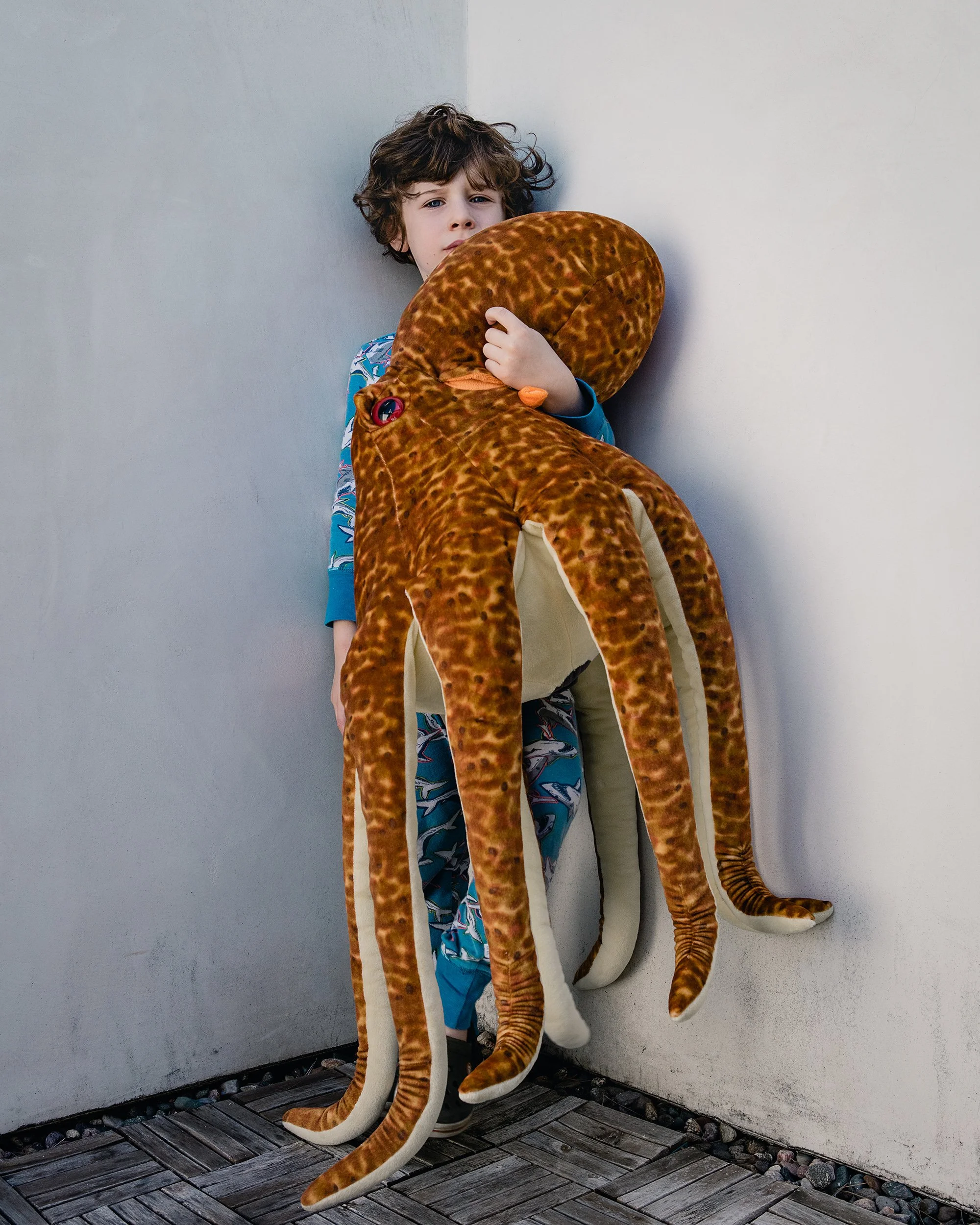 octopus.jpg