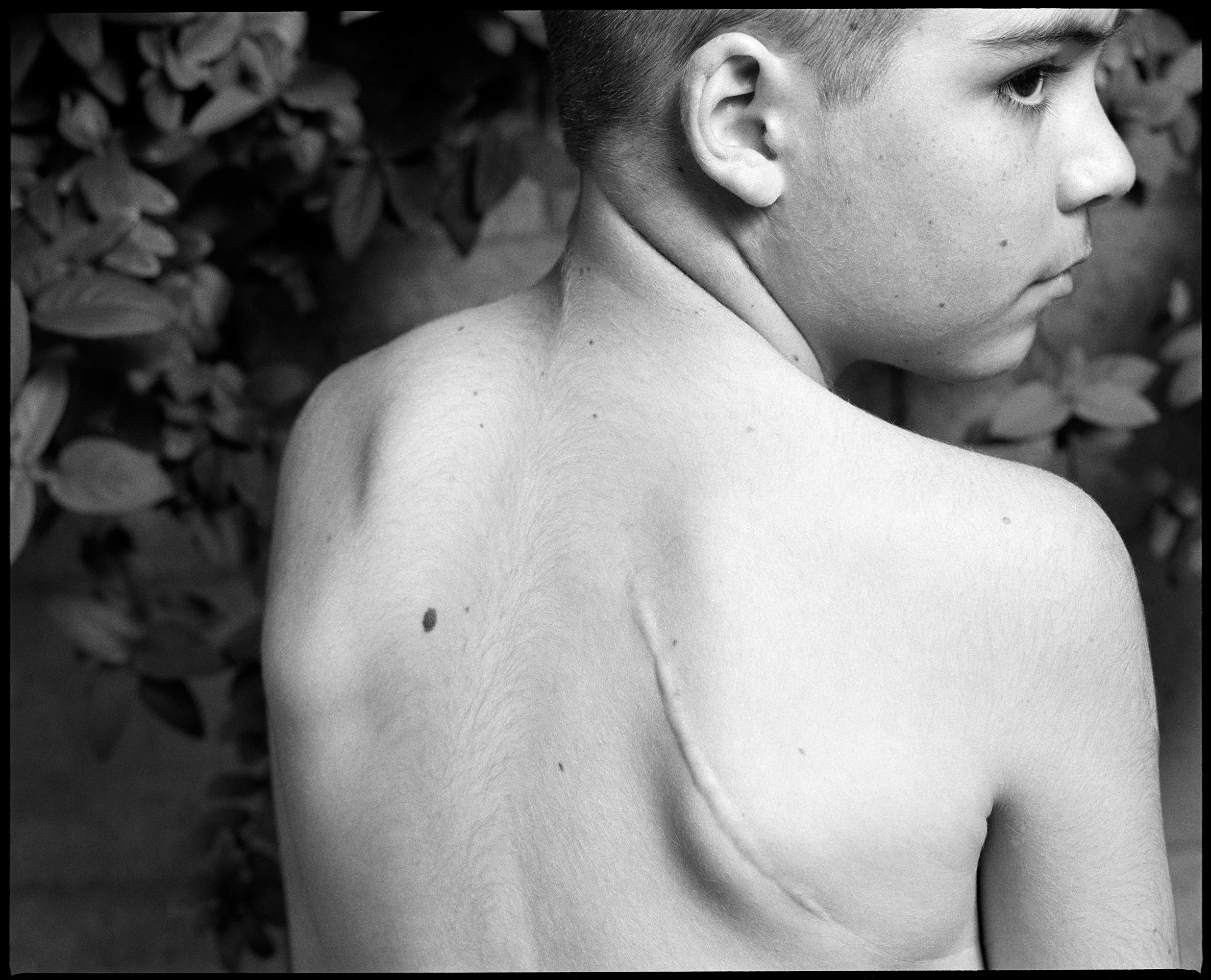 dylan-back.jpg