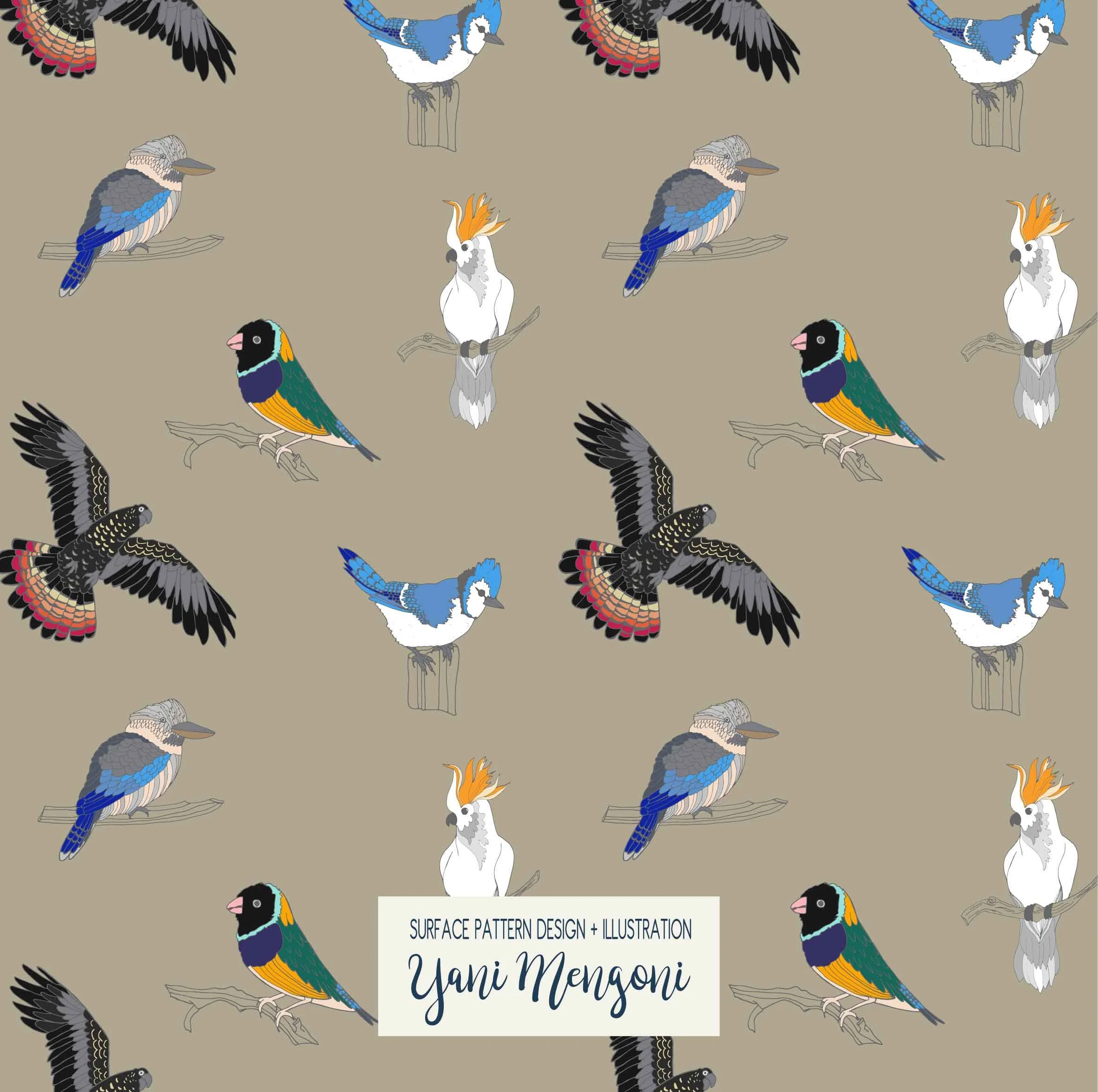 Aussie_Birds-03.jpg