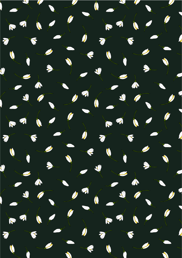 Limones_CollectionArtboard 7.png