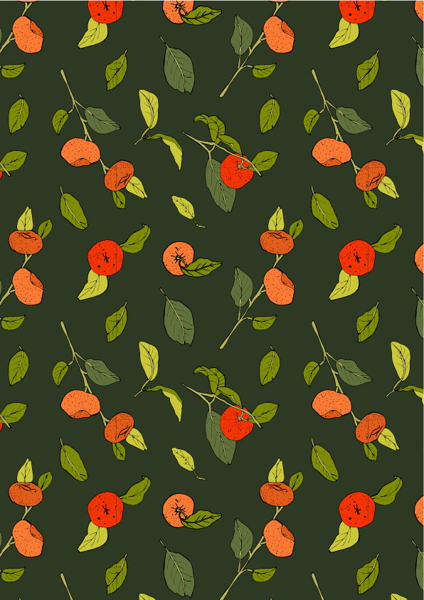 MandarinasArtboard 6.png