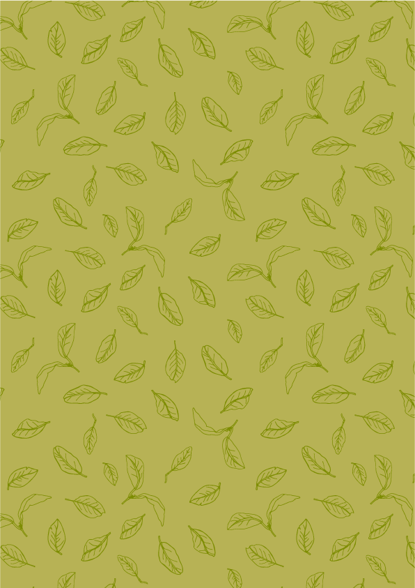 MandarinasArtboard 7.png
