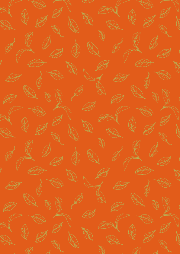 MandarinasArtboard 5.png