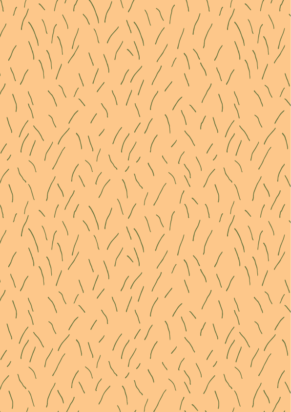 MandarinasArtboard 12.png